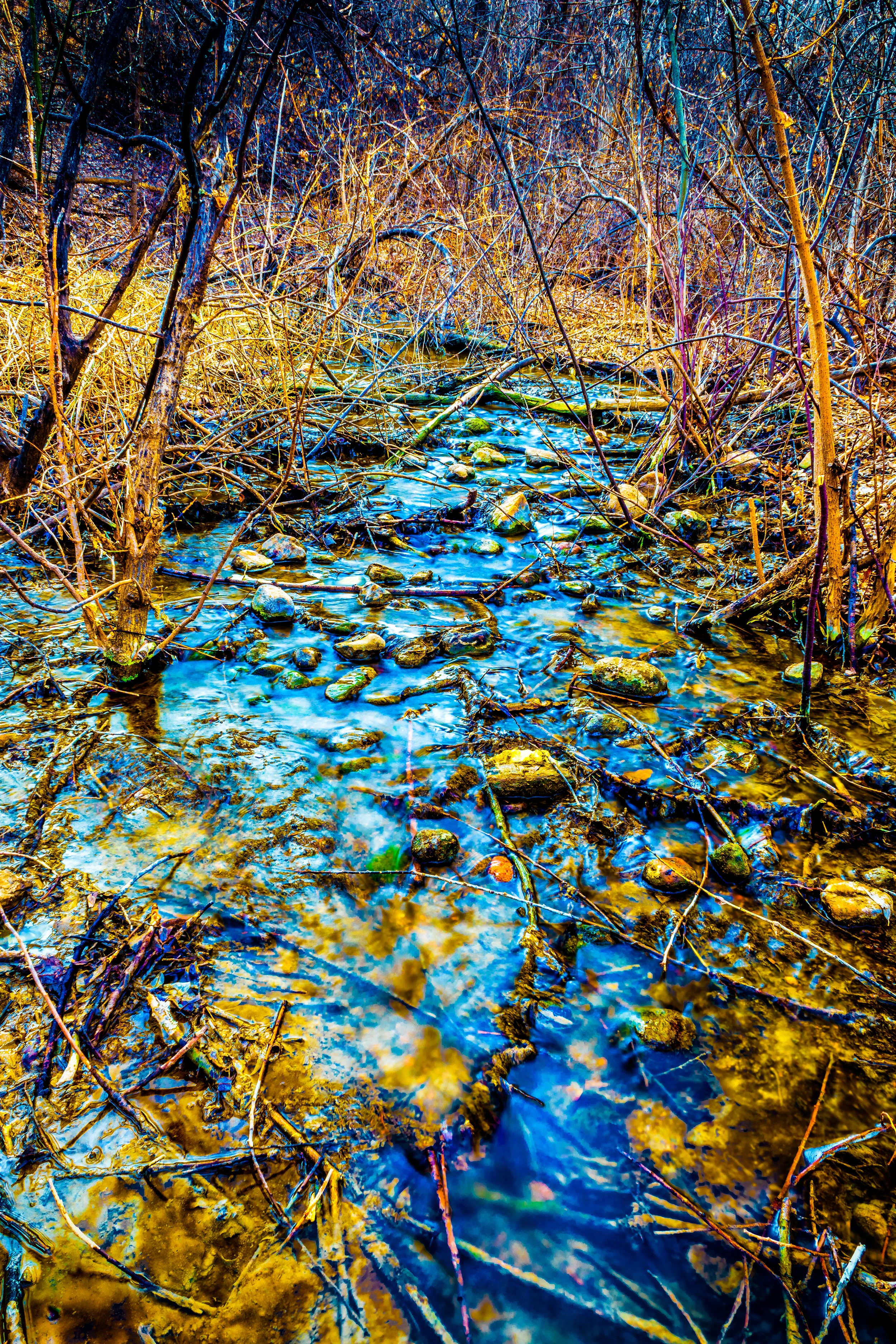 Temperance. - Romans 8:24-30