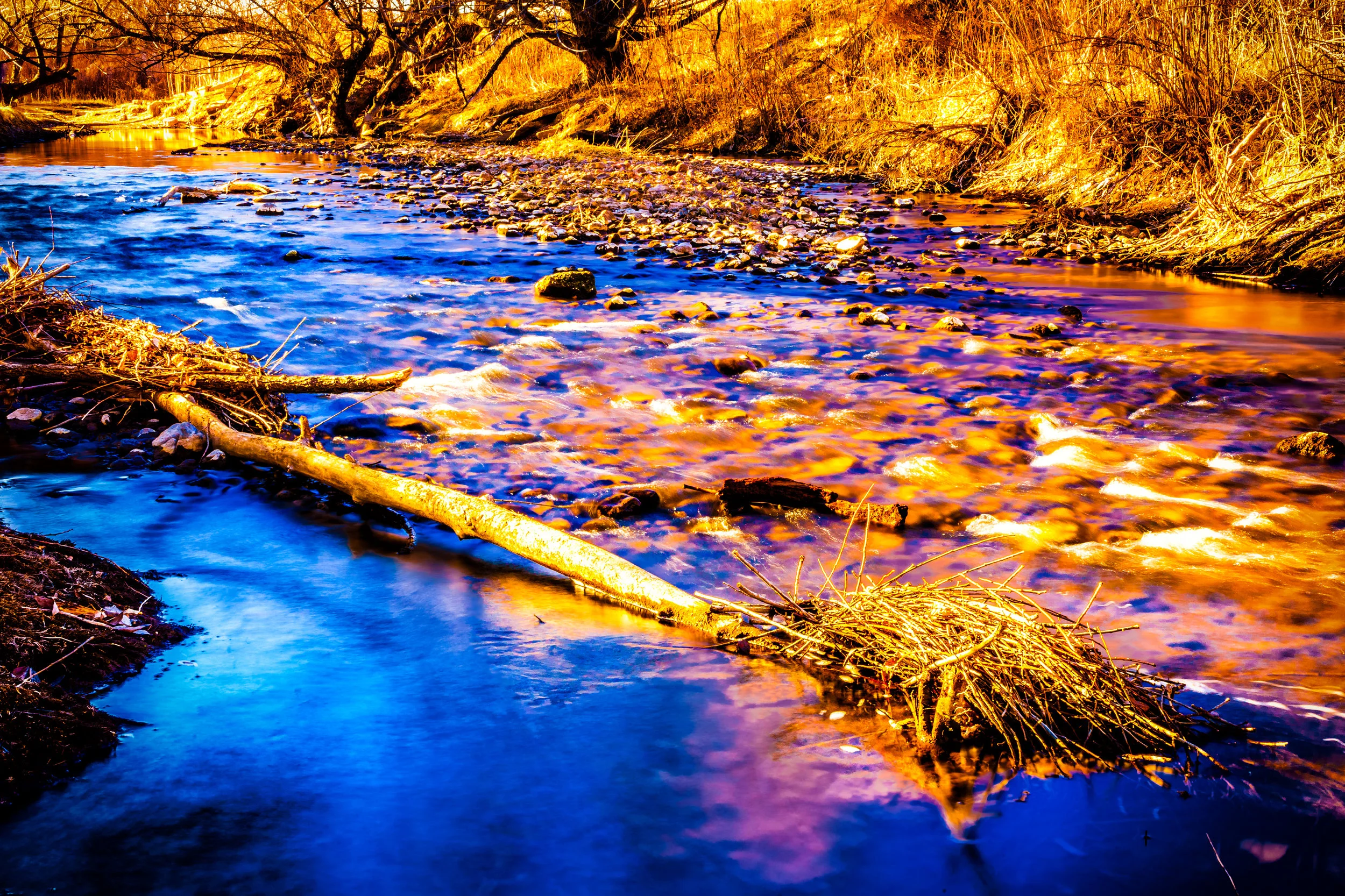 Prophecy. - Ezekiel 37:6-12