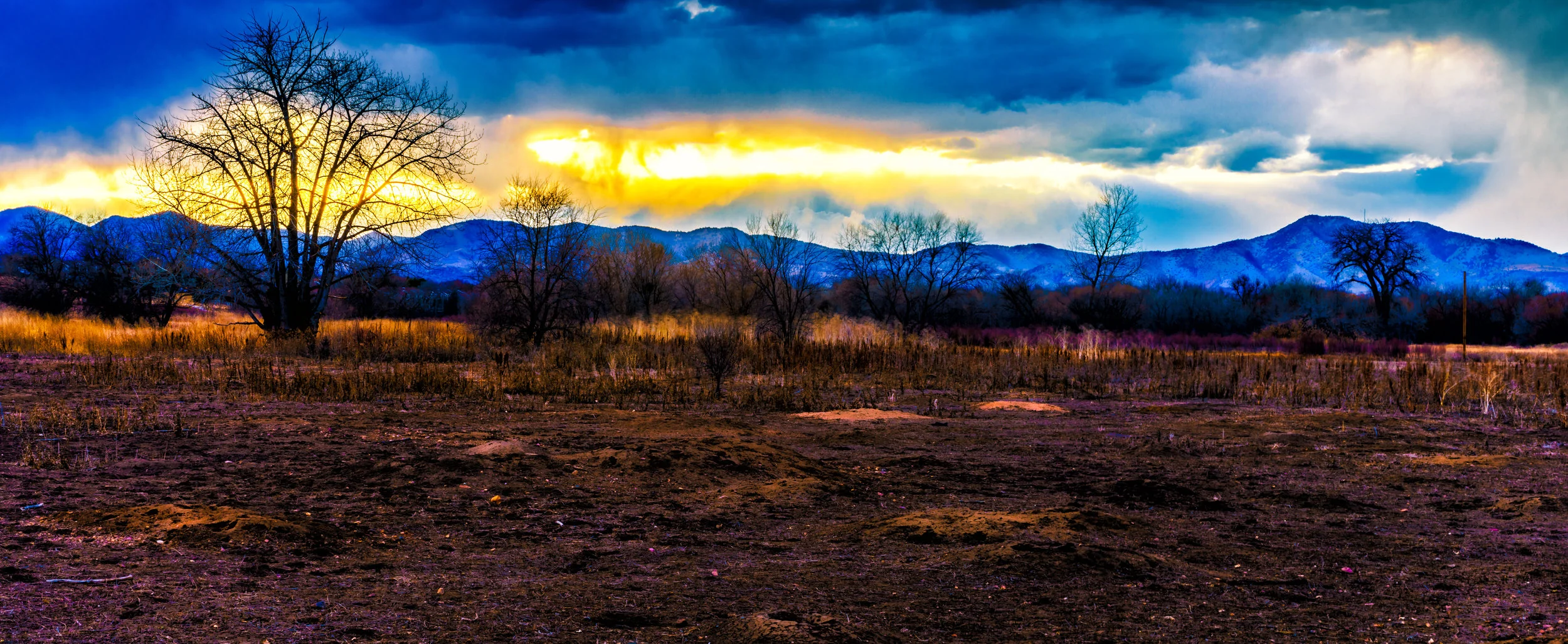 Justus. - Psalm 17:1-15 