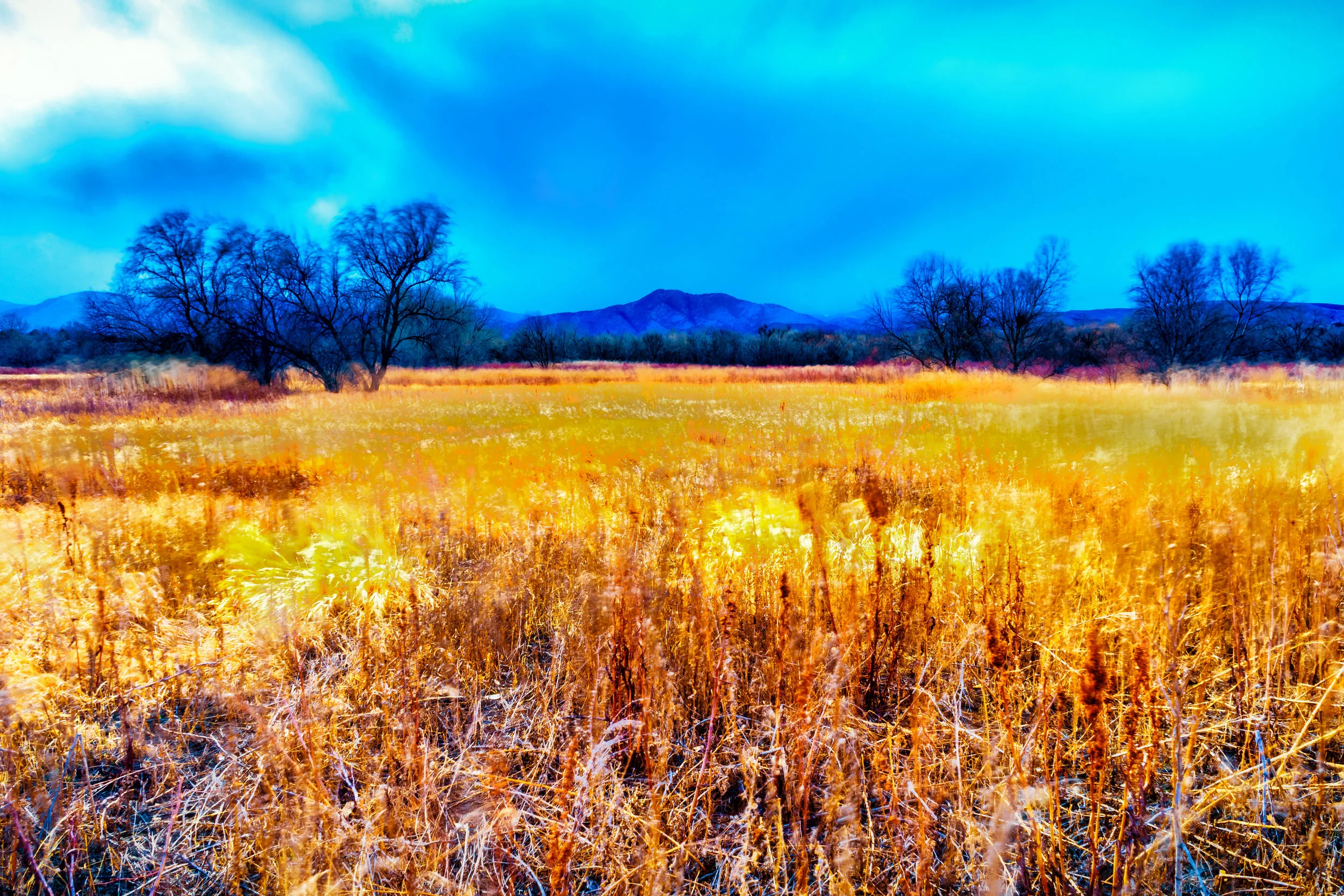 Stop, smell the flowers. - 2 Corinthians 12:9