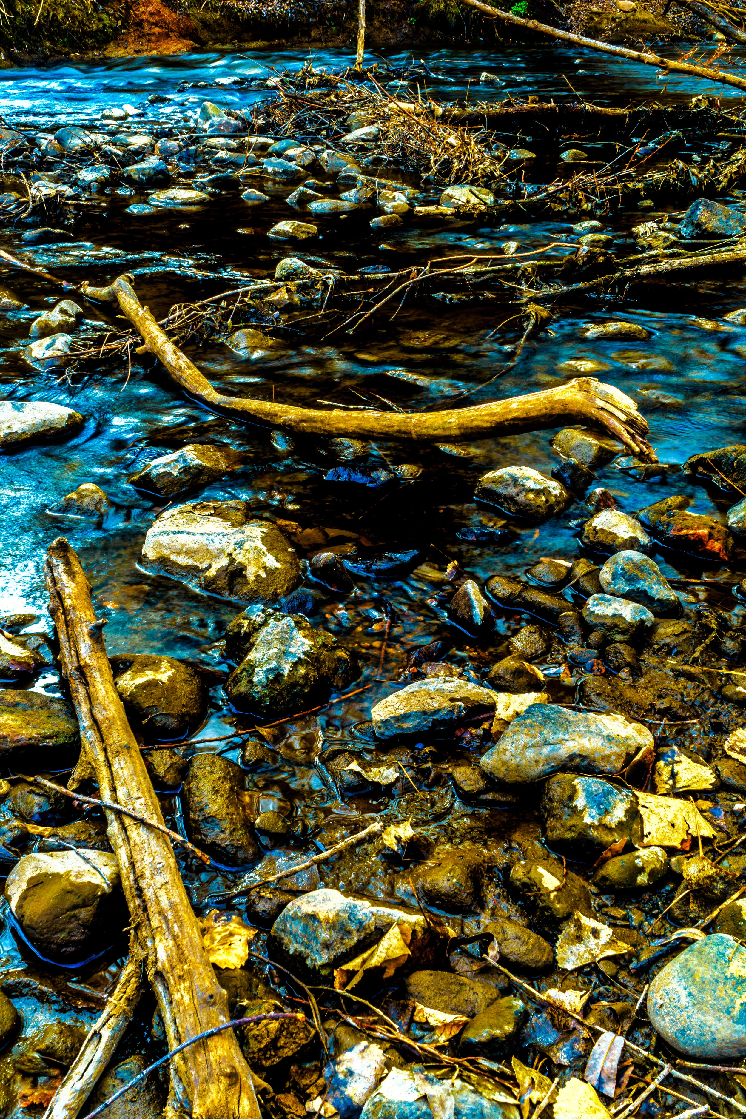 Pick up sticks. - Ezekiel 37:16-19