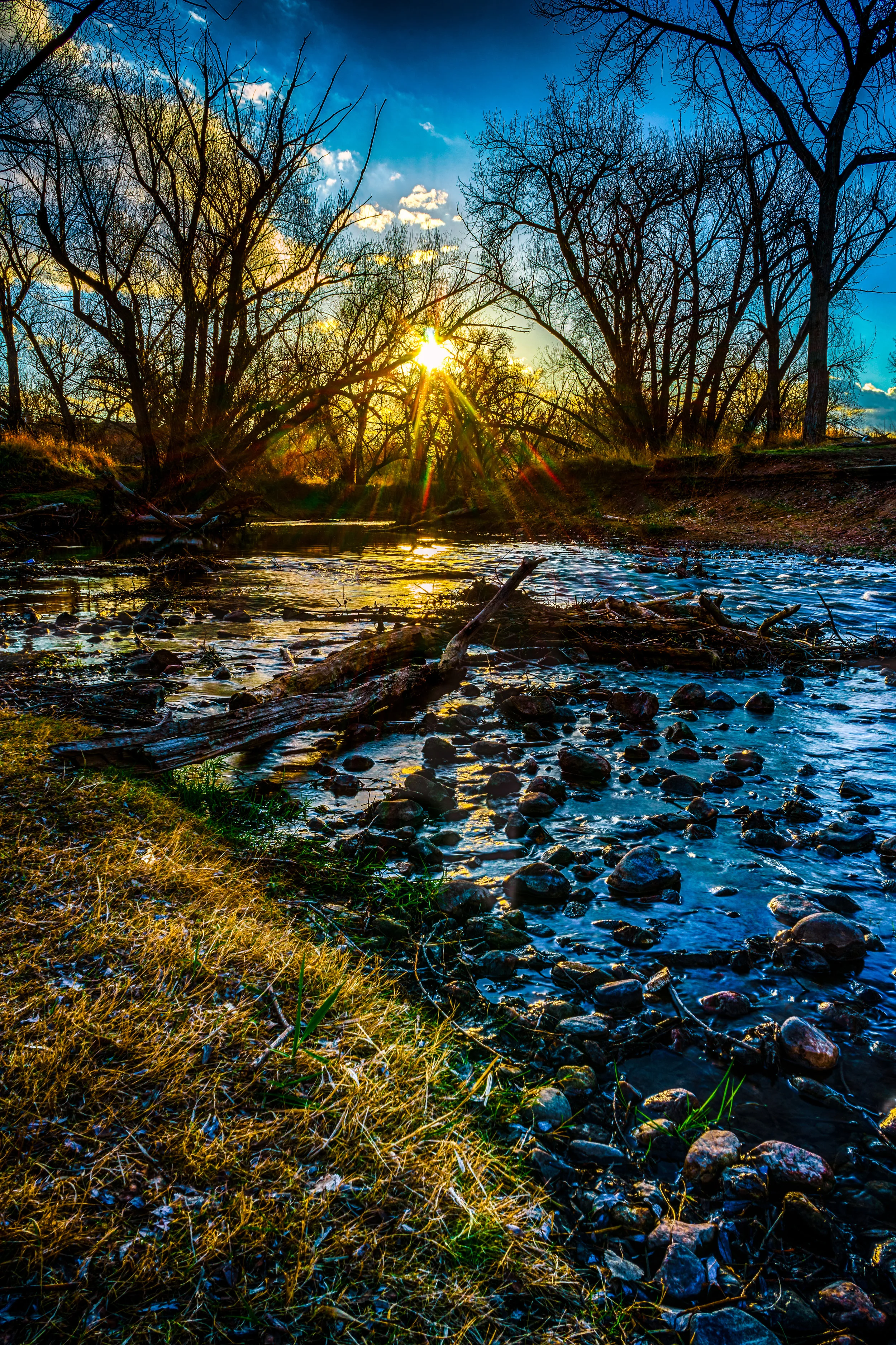 Come and see. - Matthew 13:15-17