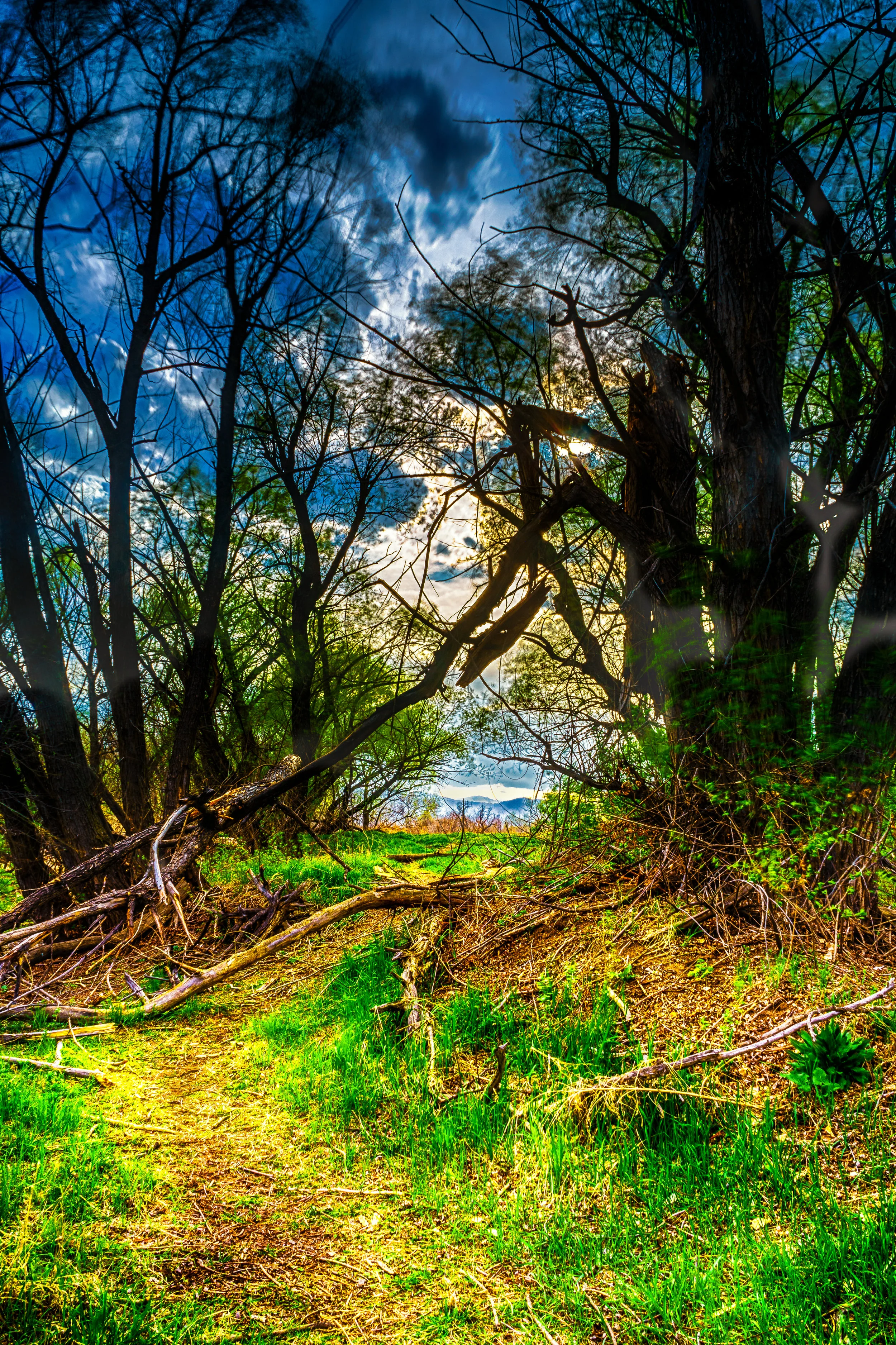 The path. - Psalm 32:8 