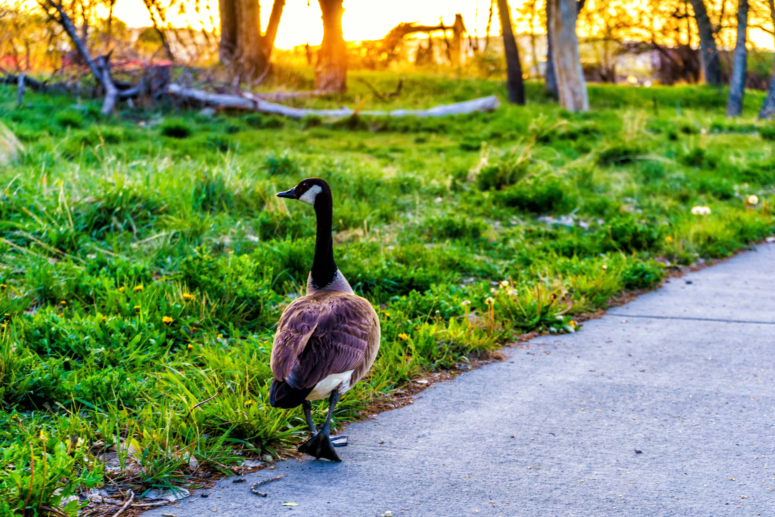 Oh yee of little faith. - Matthew 6:25-26