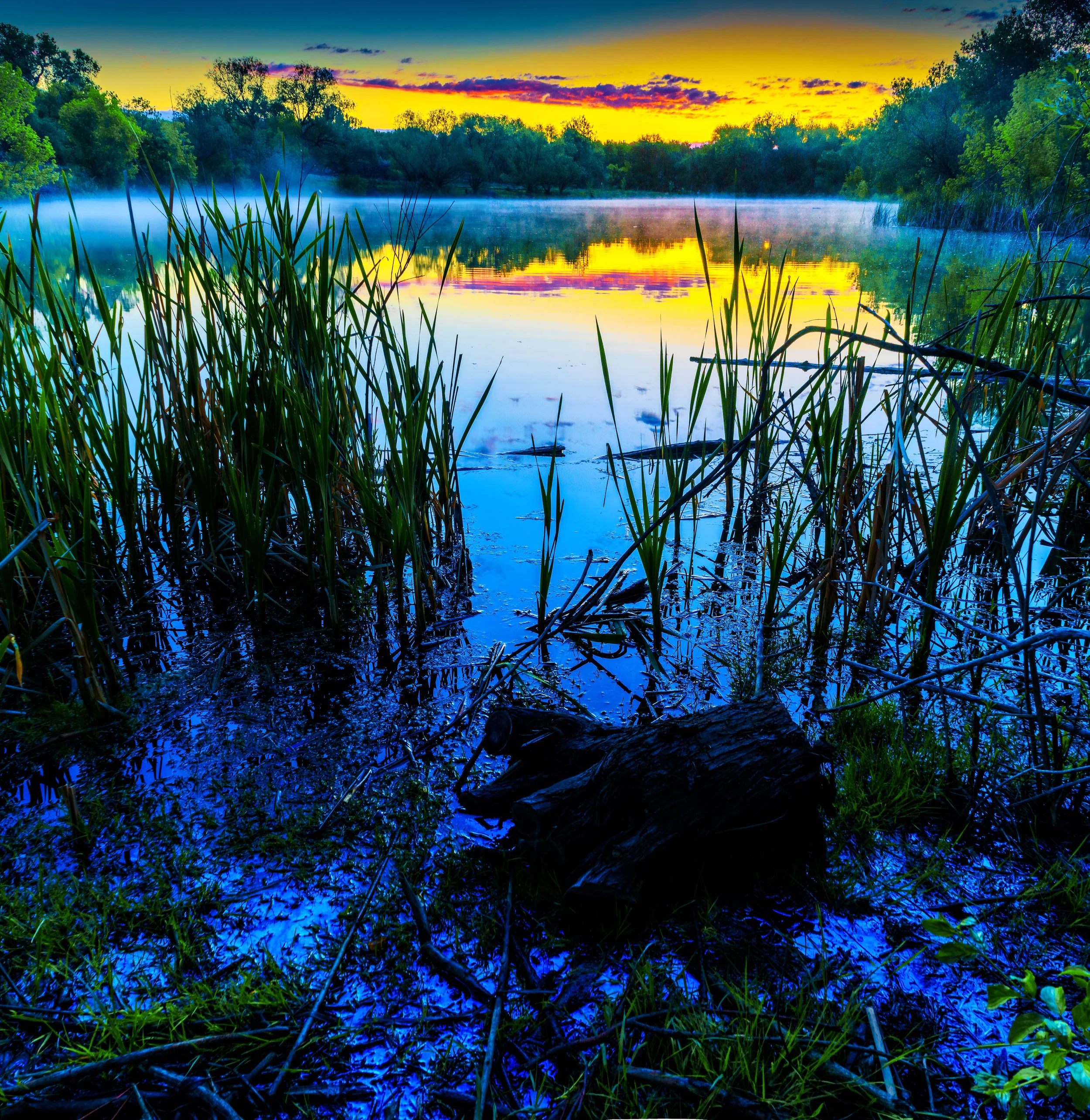 Dawn. - Job 41:18