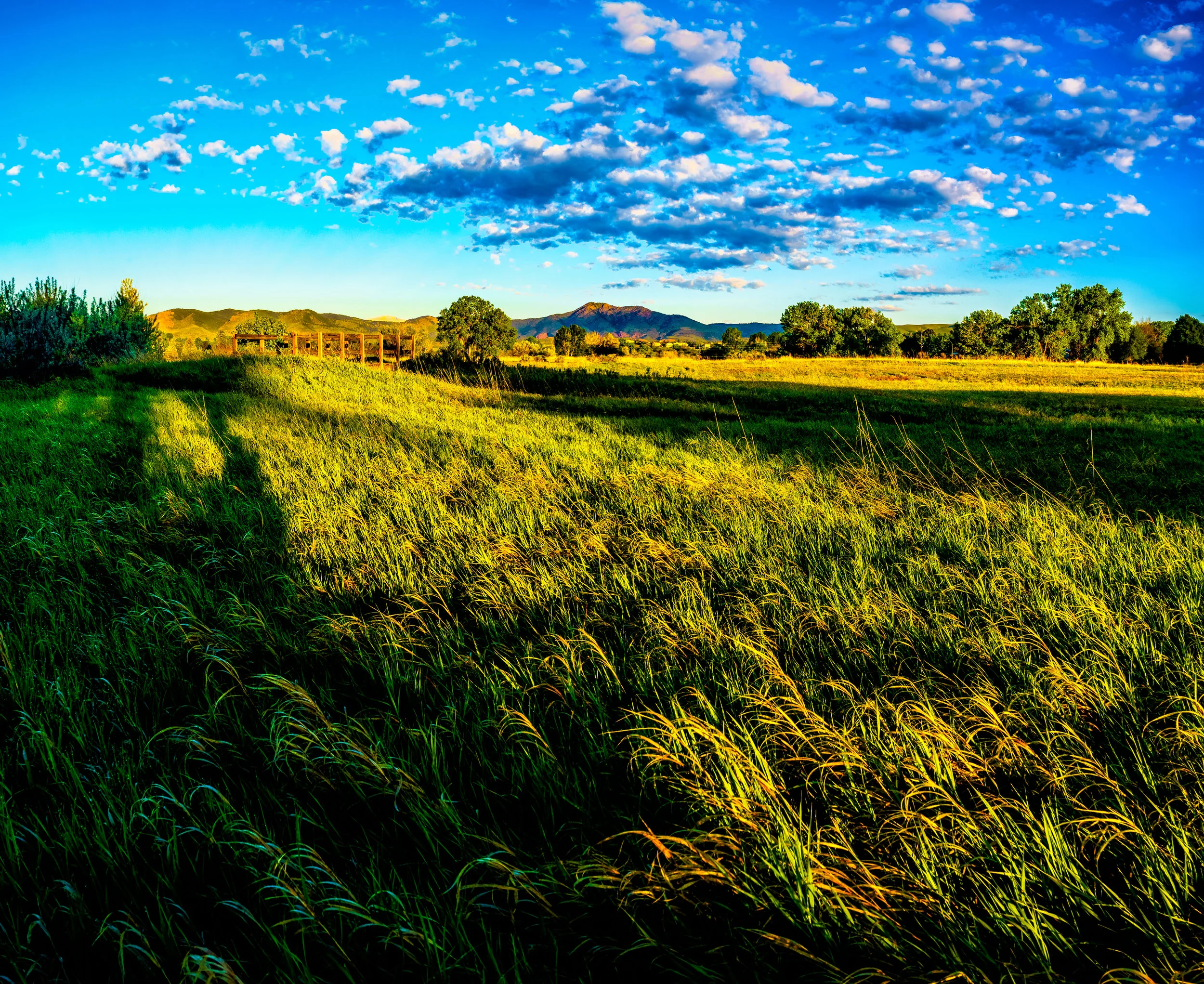 I shall not want. - Psalm 23