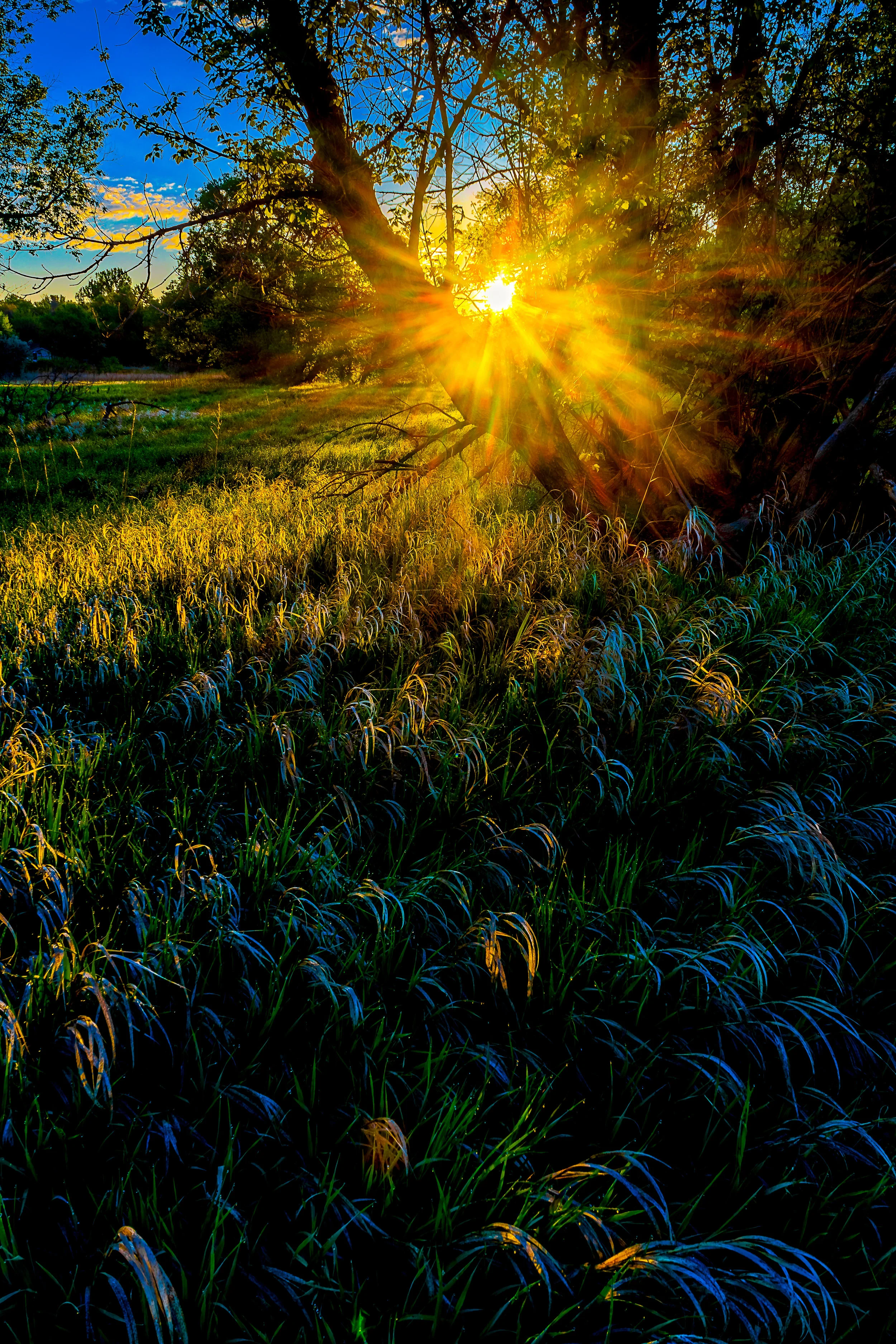 Everyday is a good day. - Lamentations 3:22-24