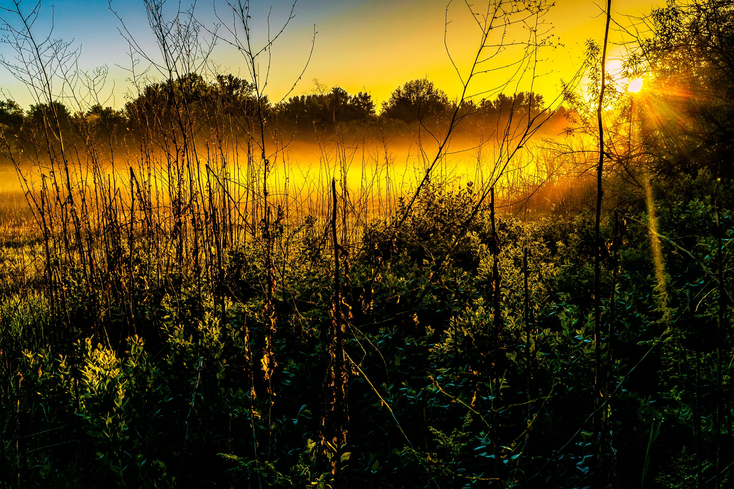 Moving on. - Proverbs 4:18