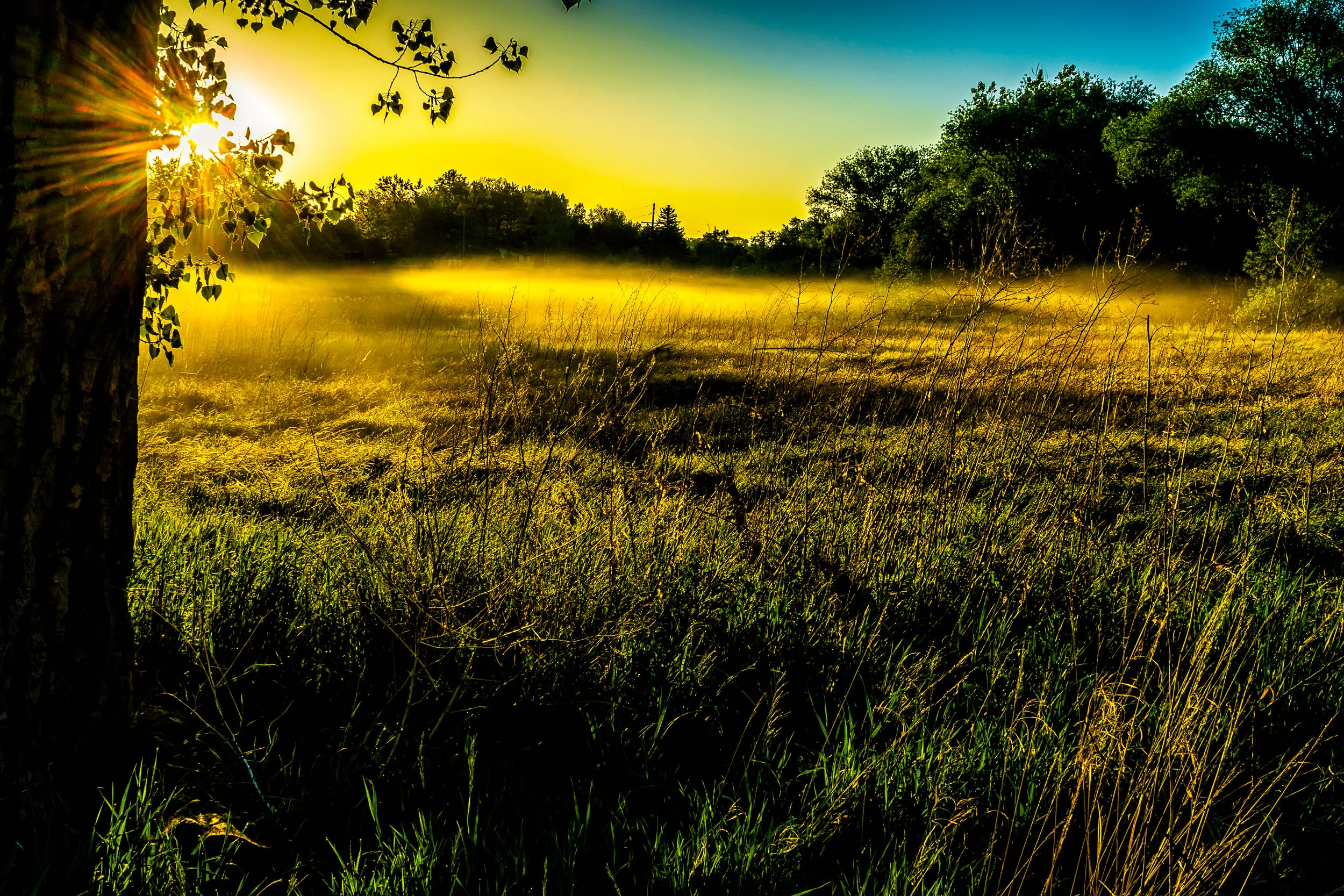 Sweet home. - Psalm 30:2 