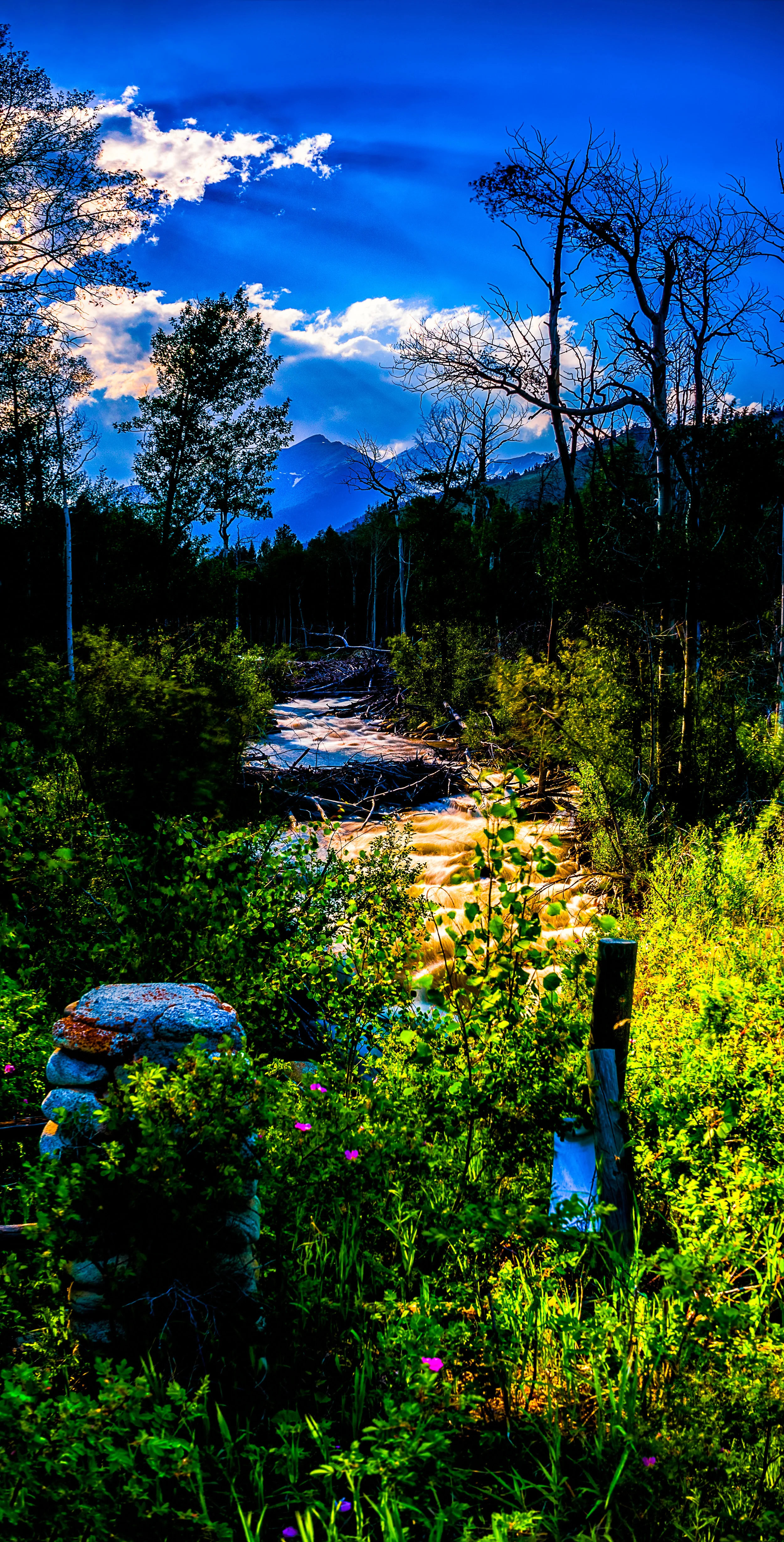 Healing River. - 2 Kings 5:9-15 