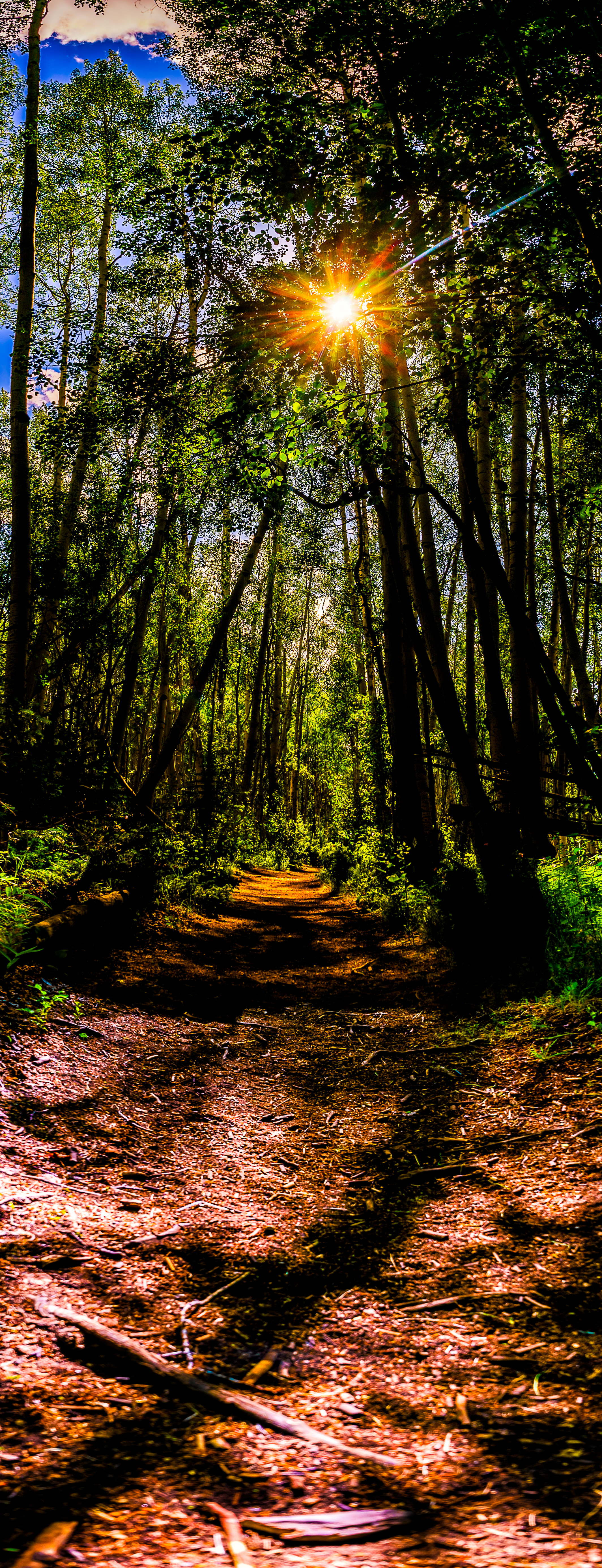 The path narrows - Matthew 7:13-14