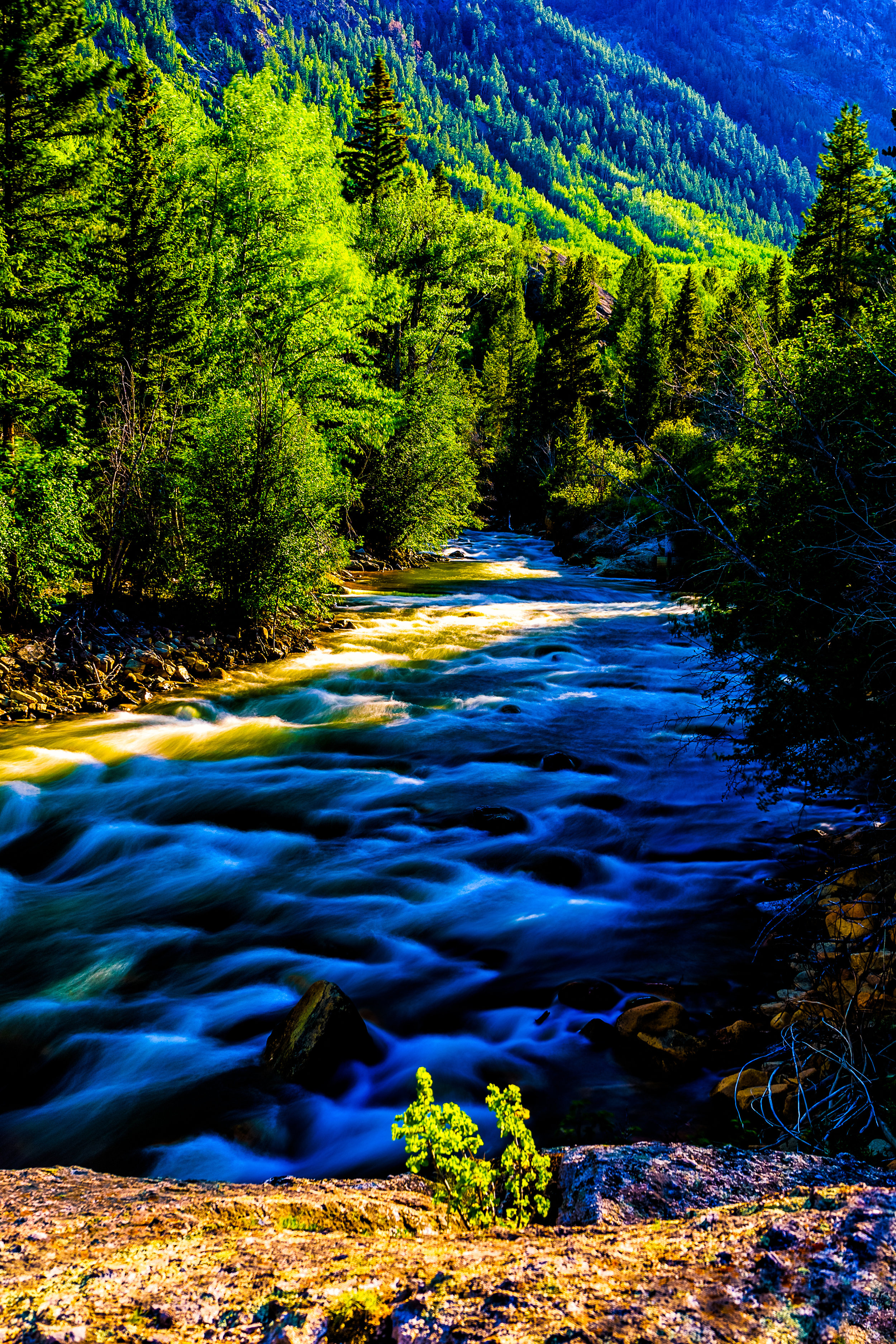 Simply Summer. - James 1:17 