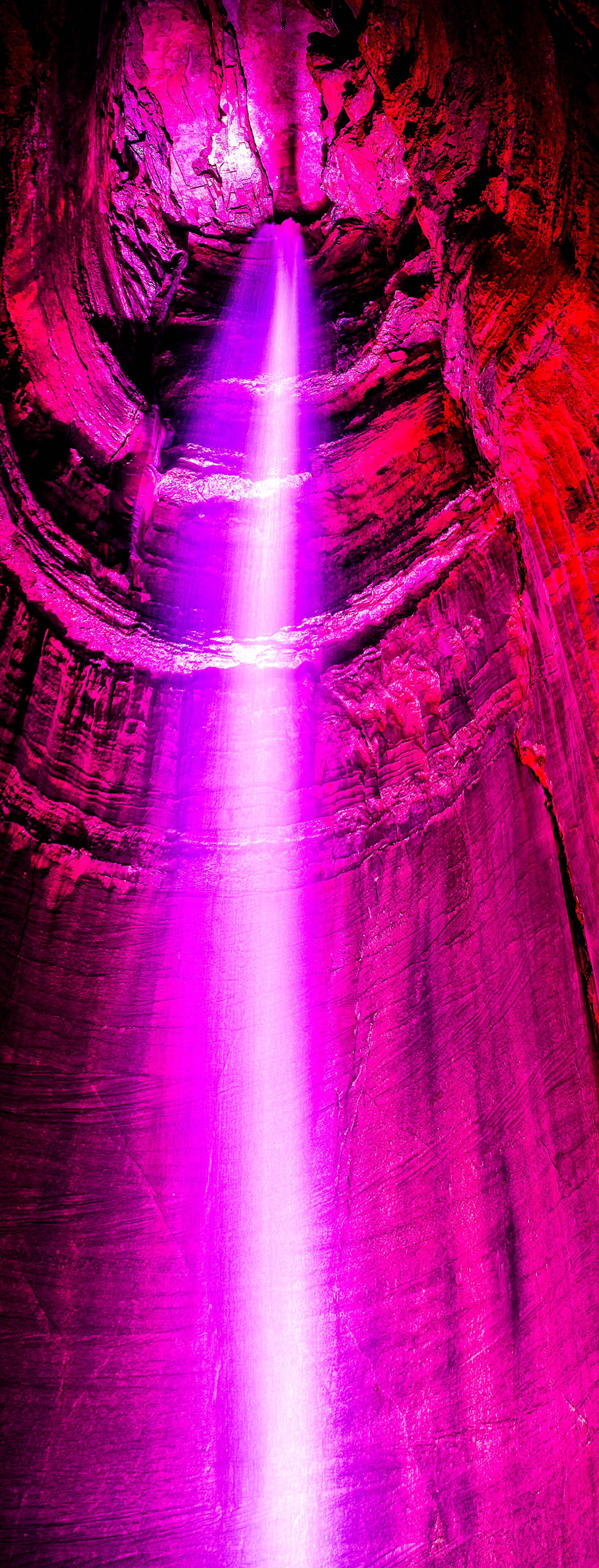 In good hands. - 1 Chronicles 28:20