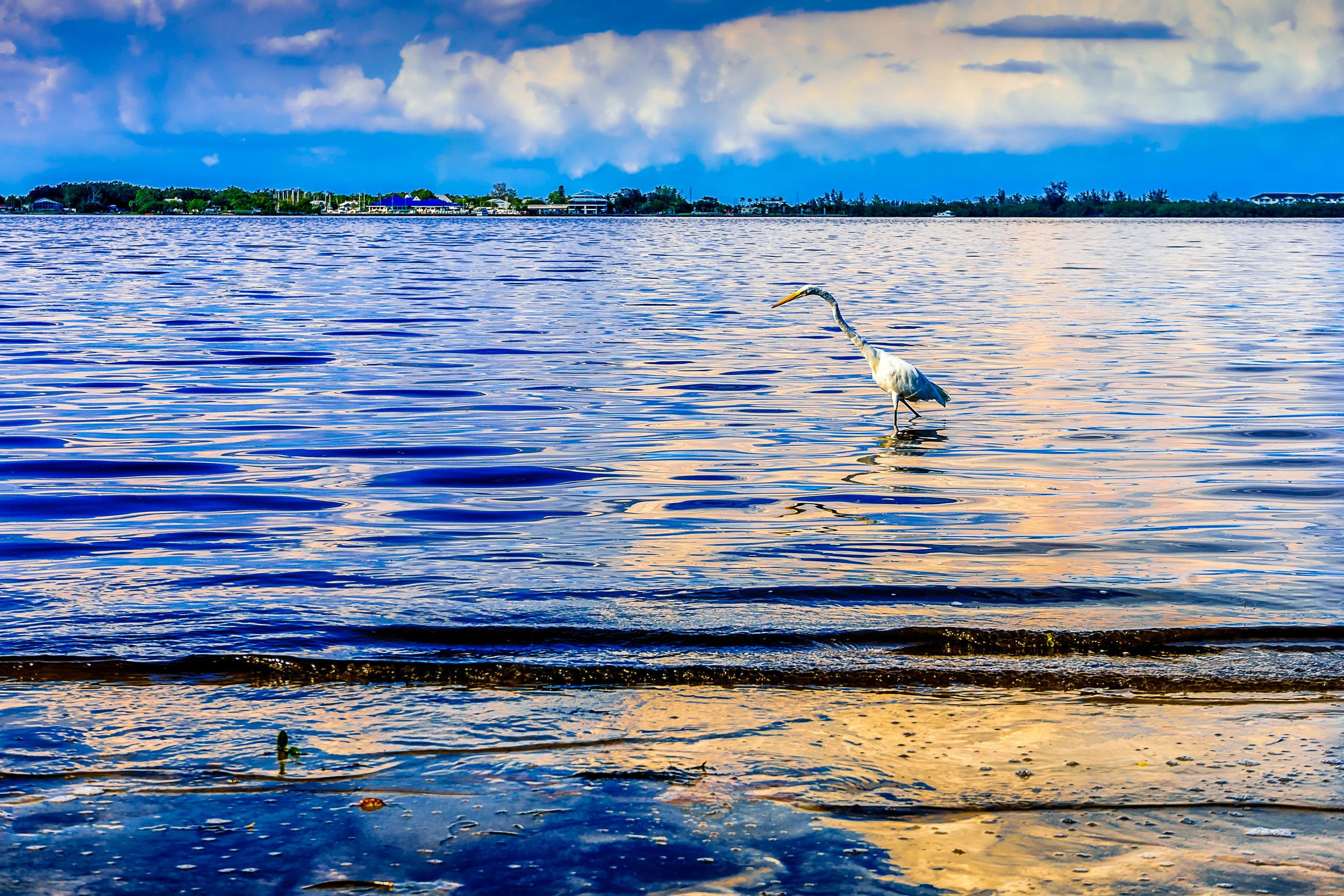 Water walking. - Matthew 14:26-31