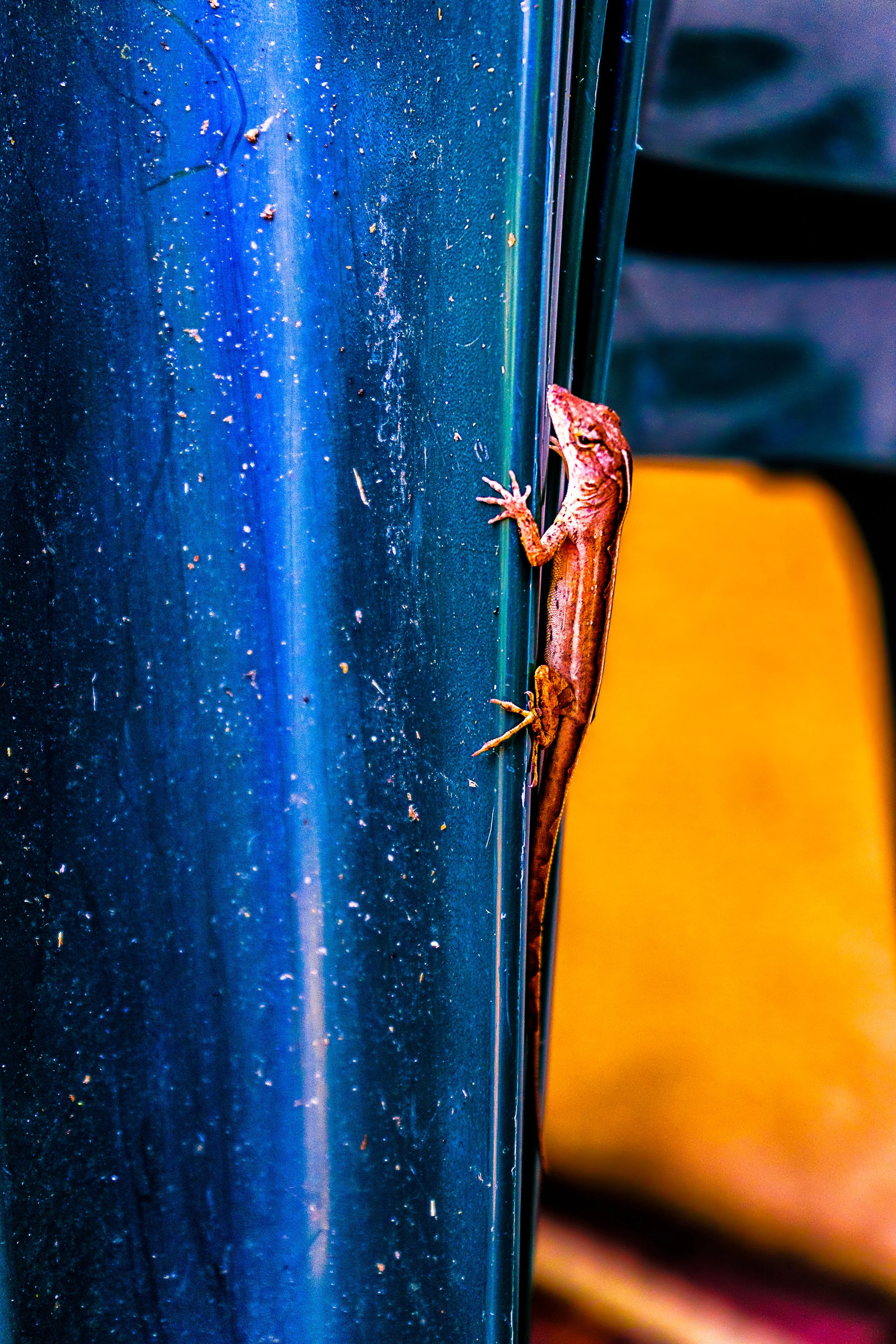 Hold Fast. - Hebrews 10:23 