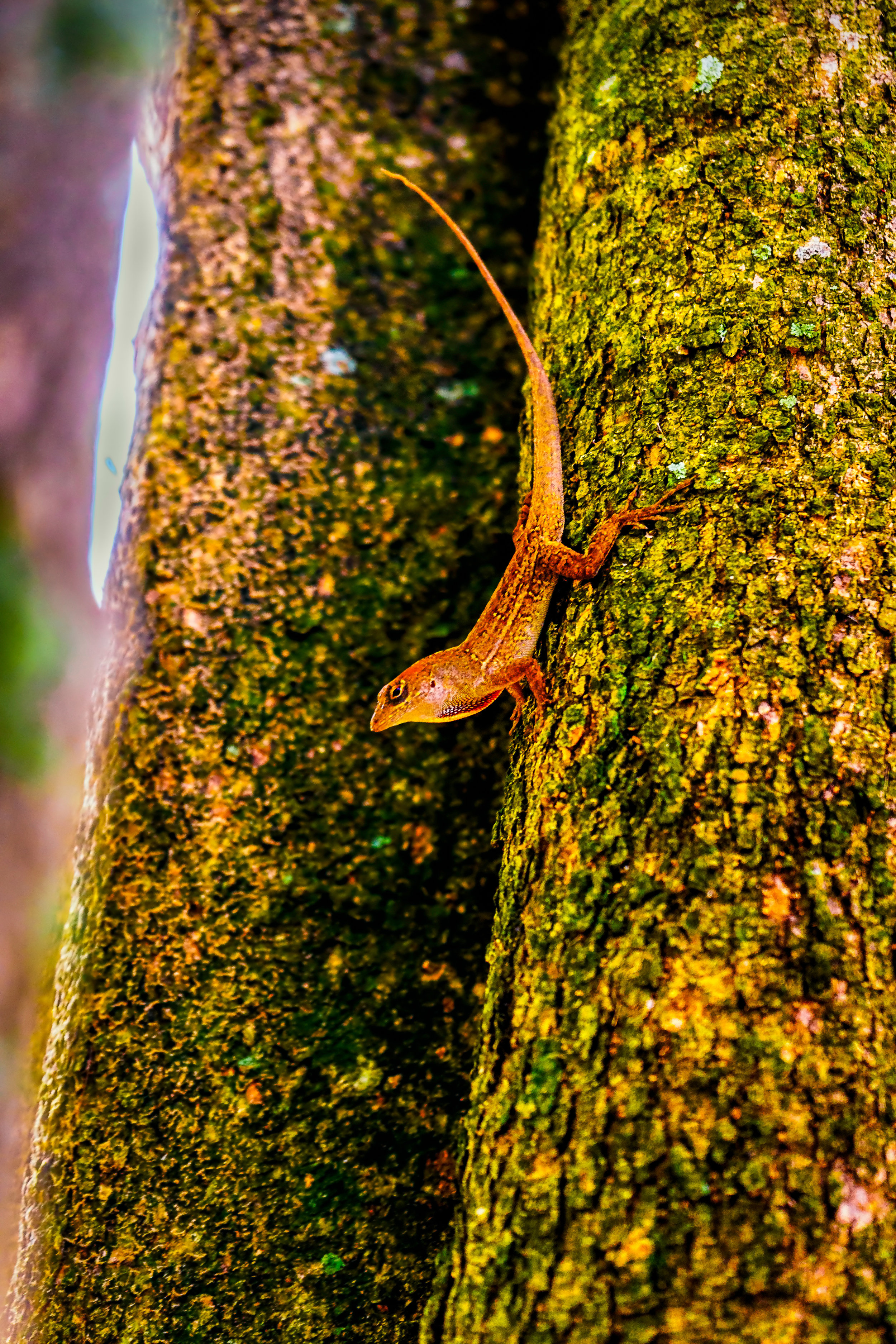 Don't quit. - Galatians 6:9