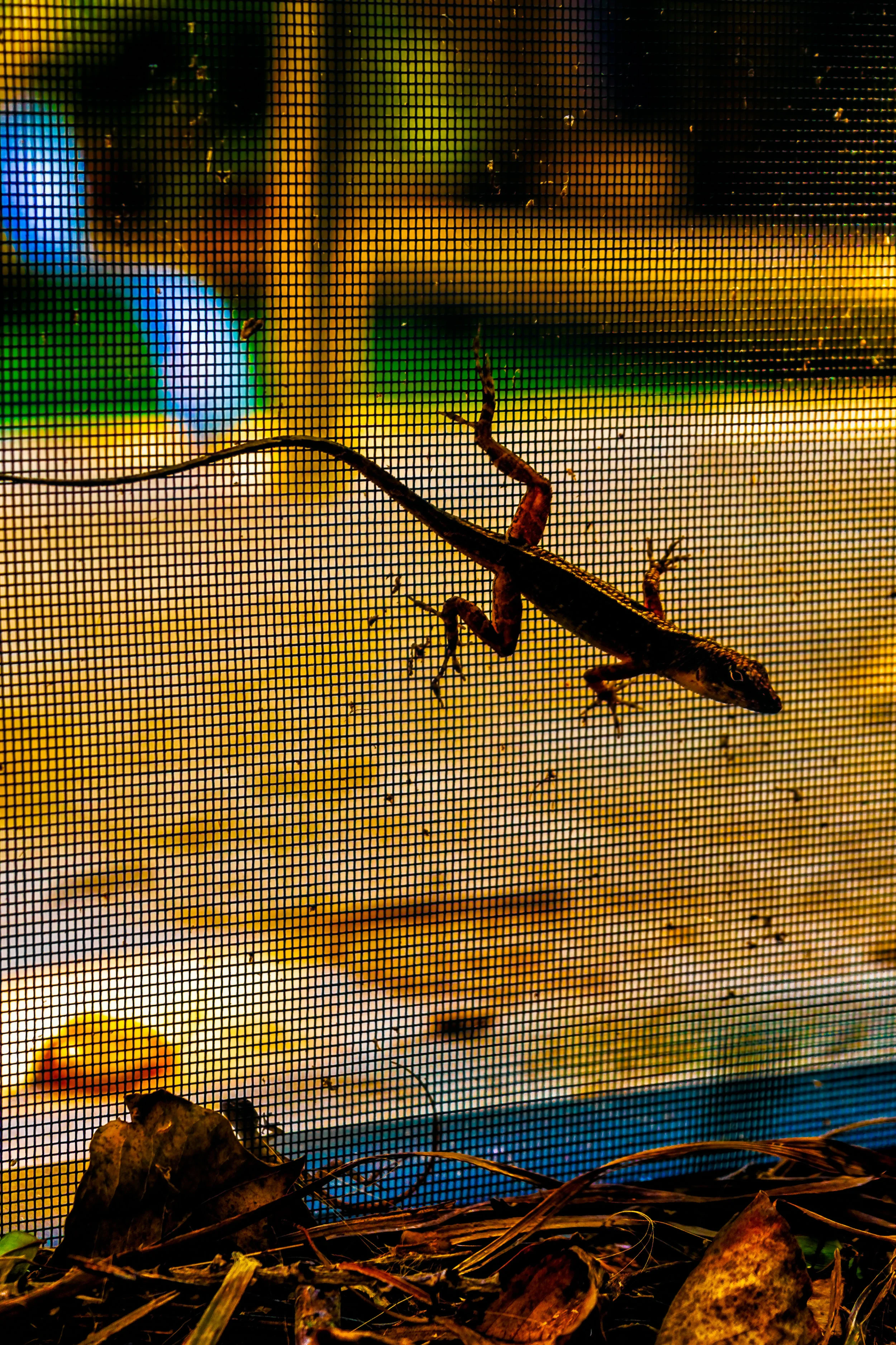 Hold on. - Joshua 23:6-11