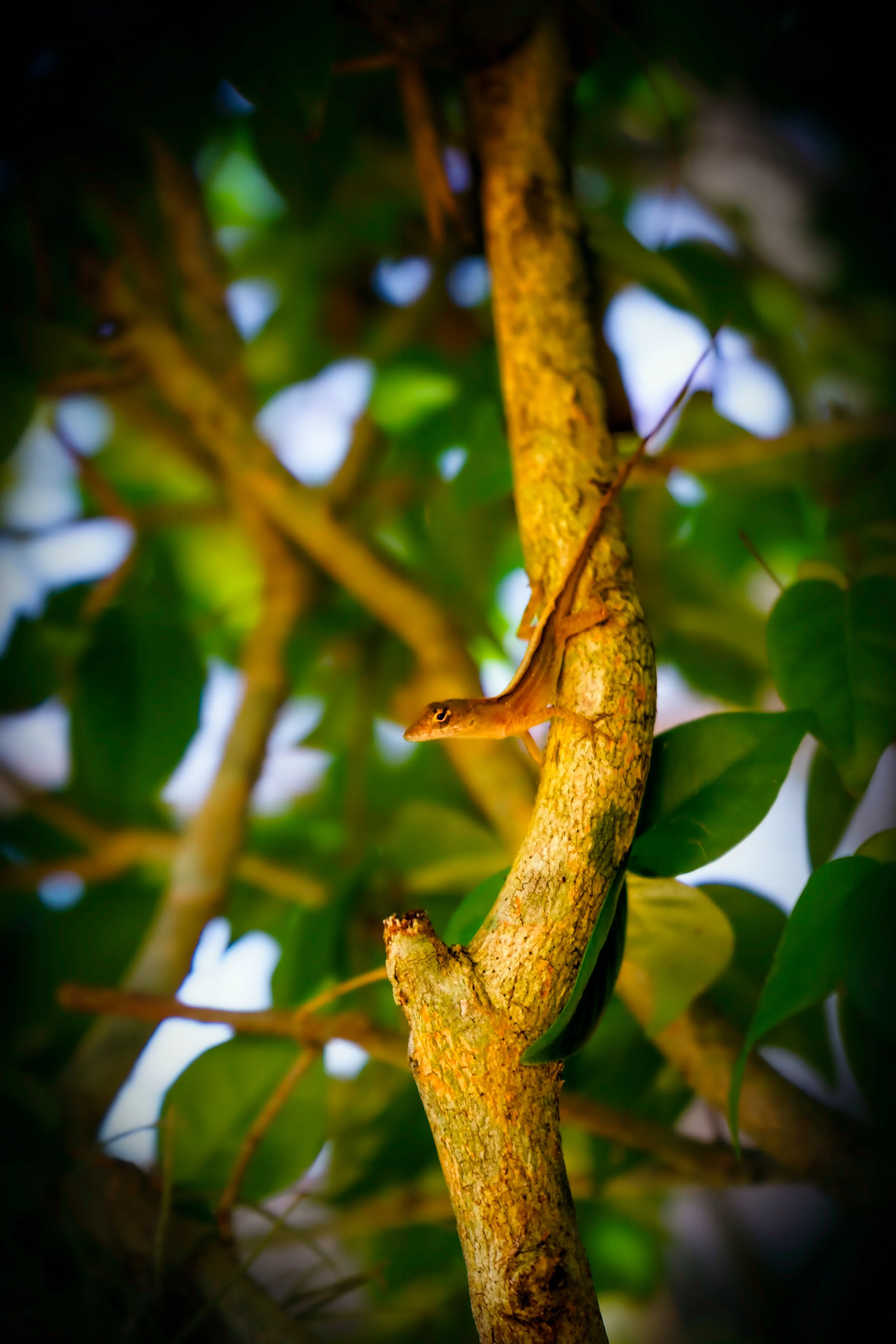 Little me. - Psalms 119:141