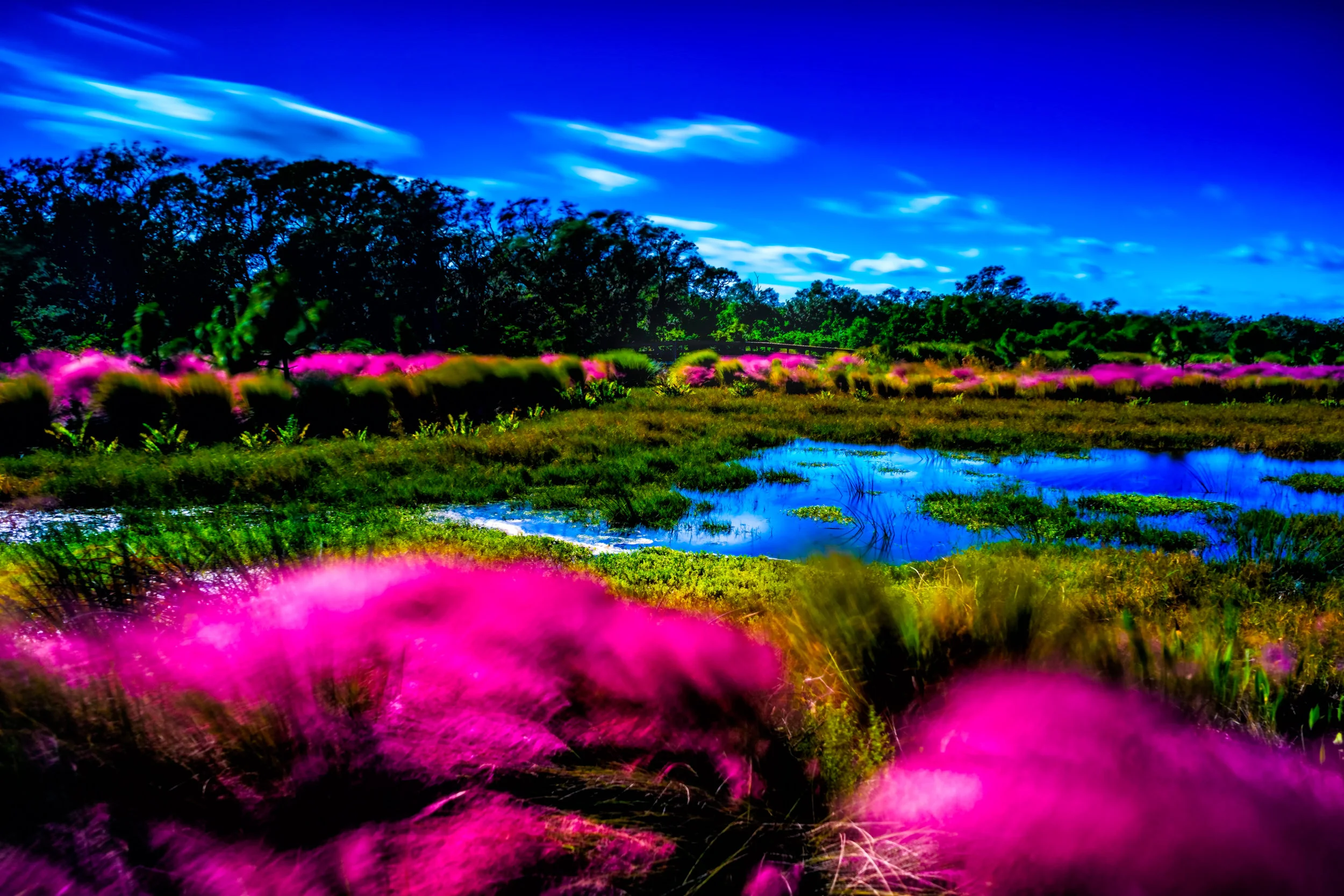 Refining. - Psalm 107:35