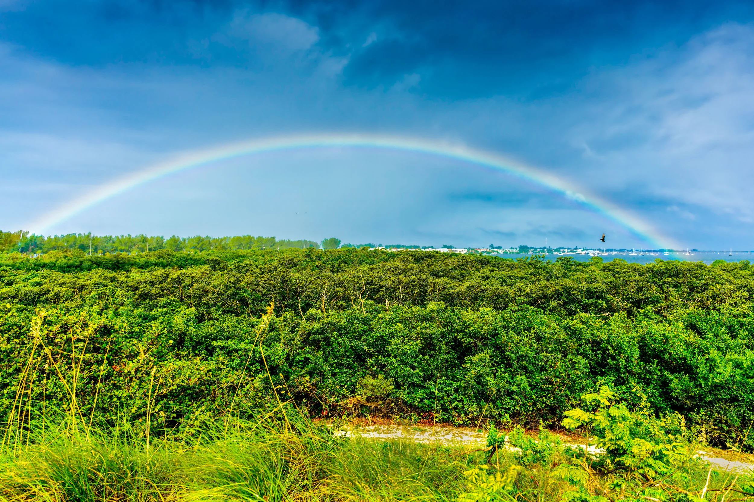 Forever tied together. - Genesis 9:16