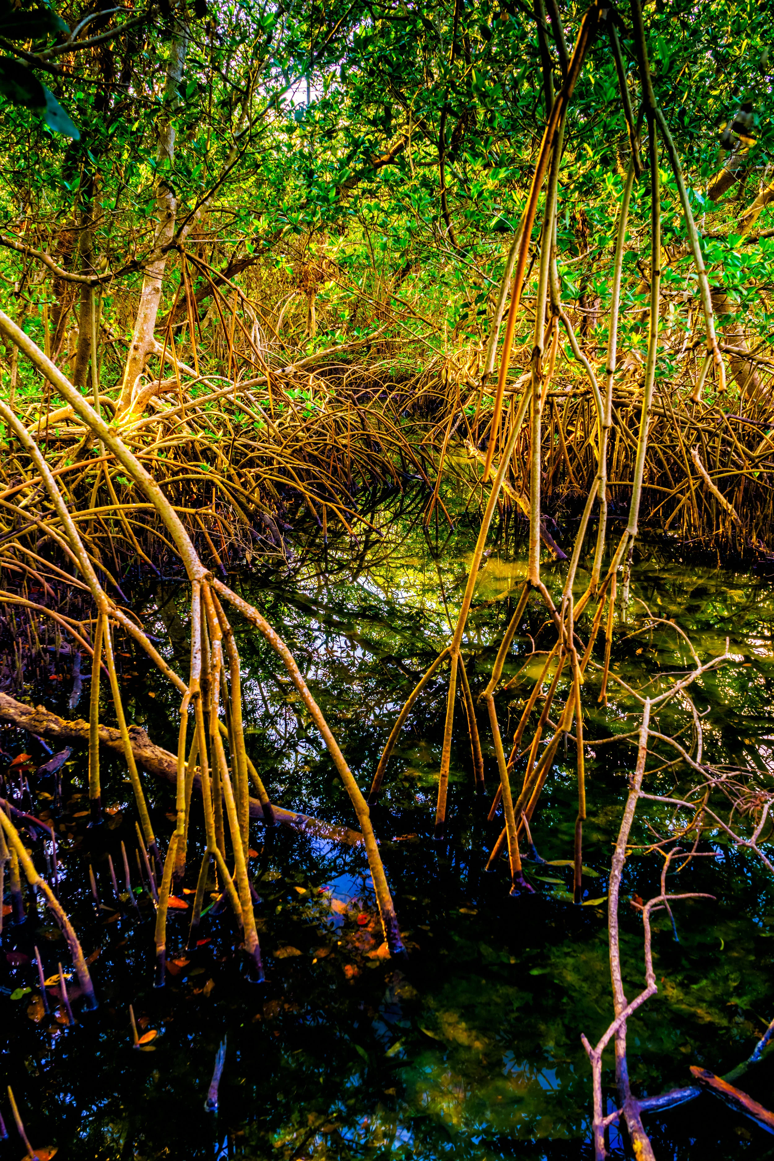 Remember your promise. - Psalm 119:76