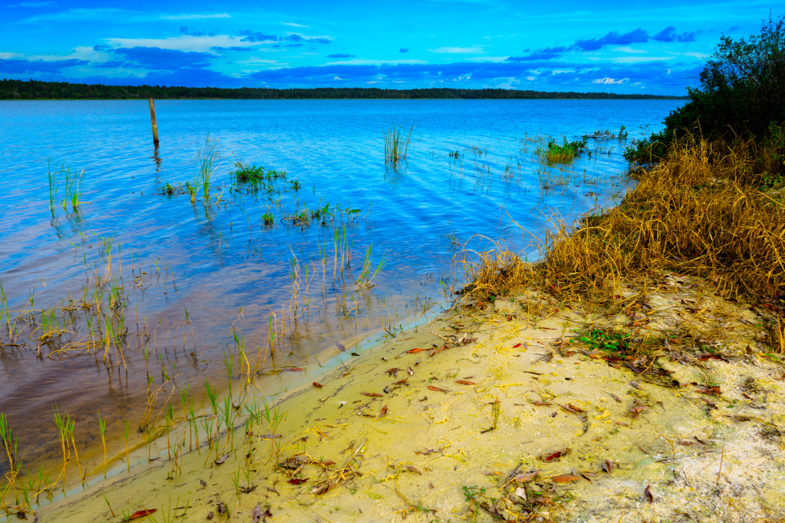 Everything. - Psalm 103:5 