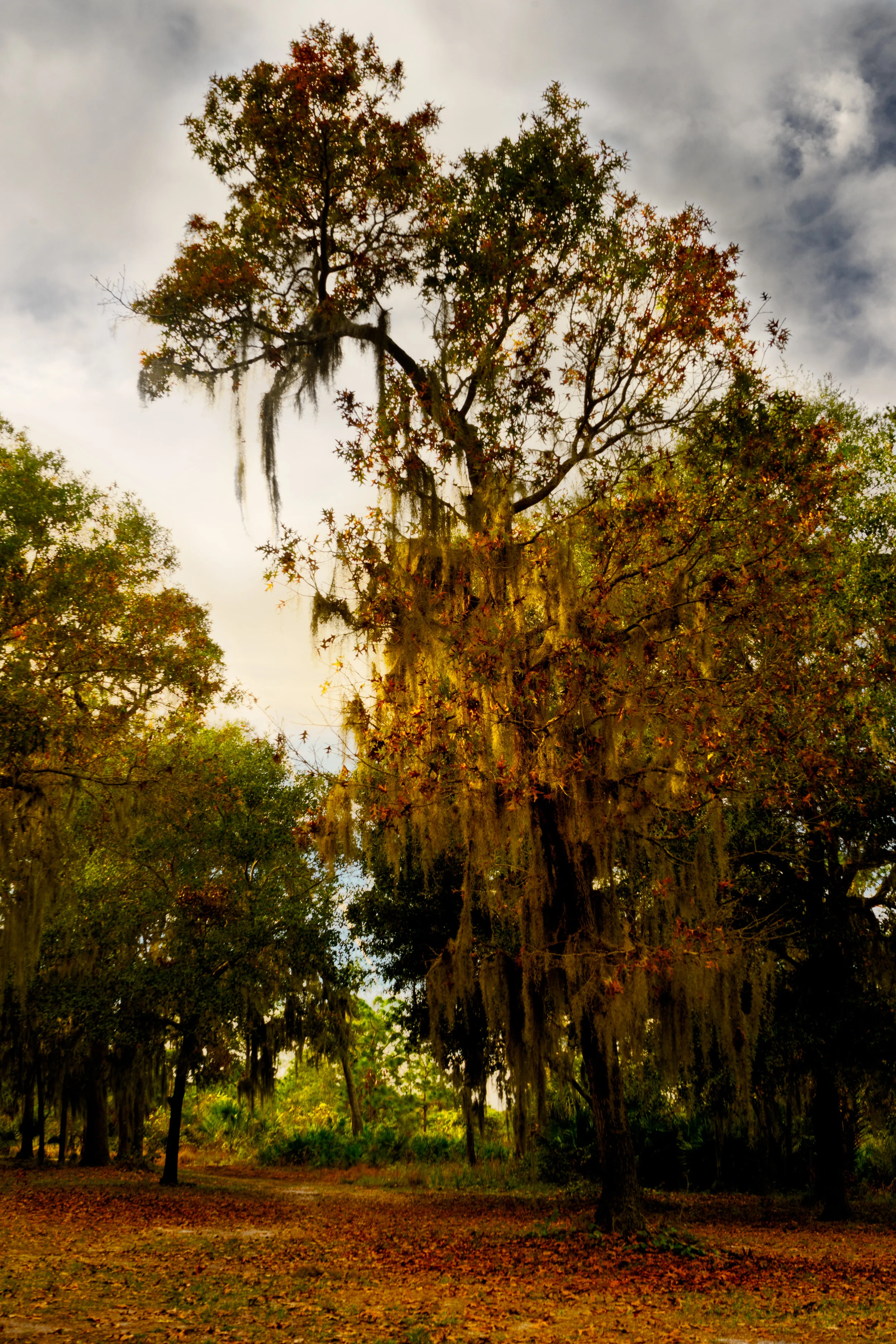 Winter glow. - Proverbs 4:18-27 