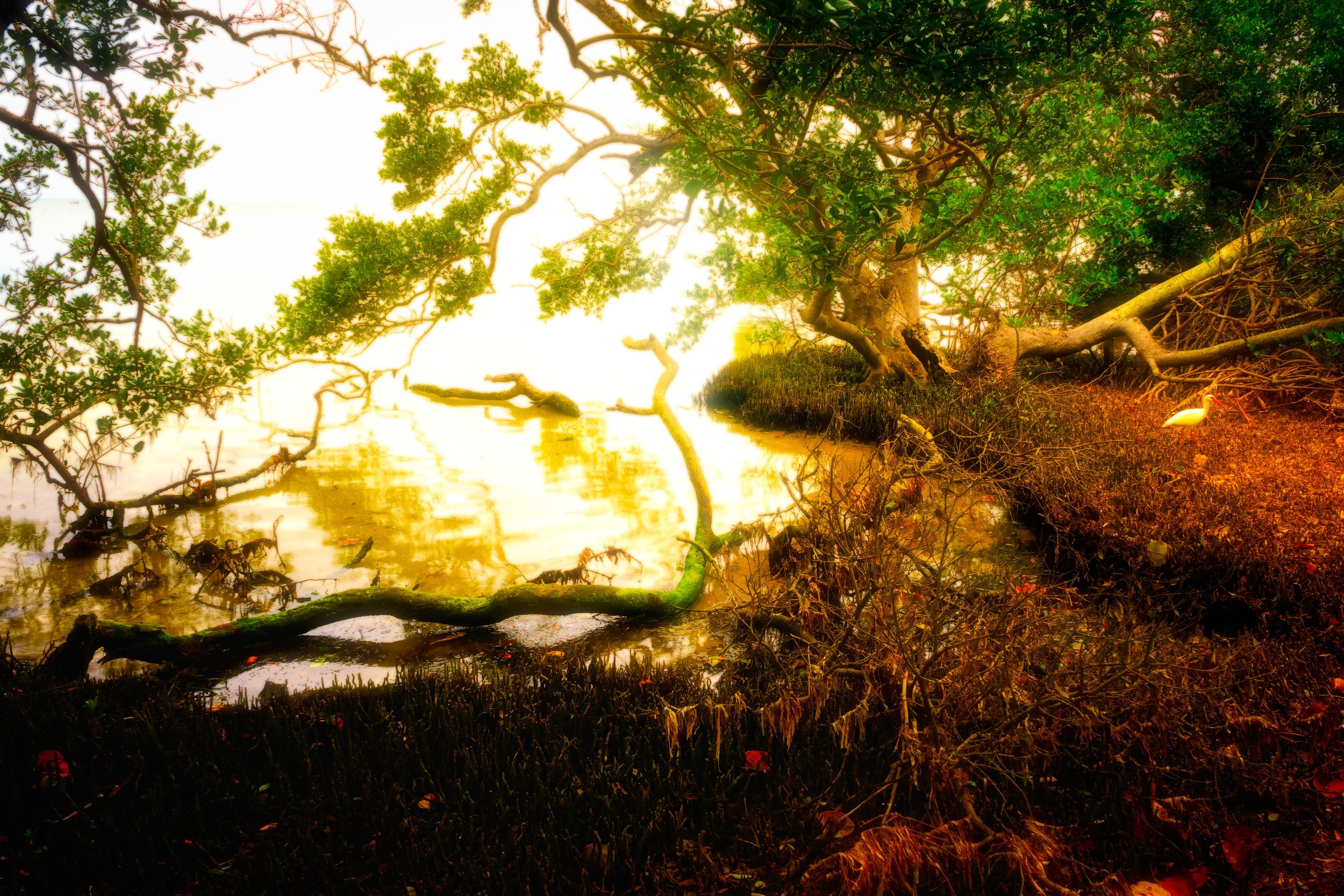 Shelter. - Psalm 27:2-6