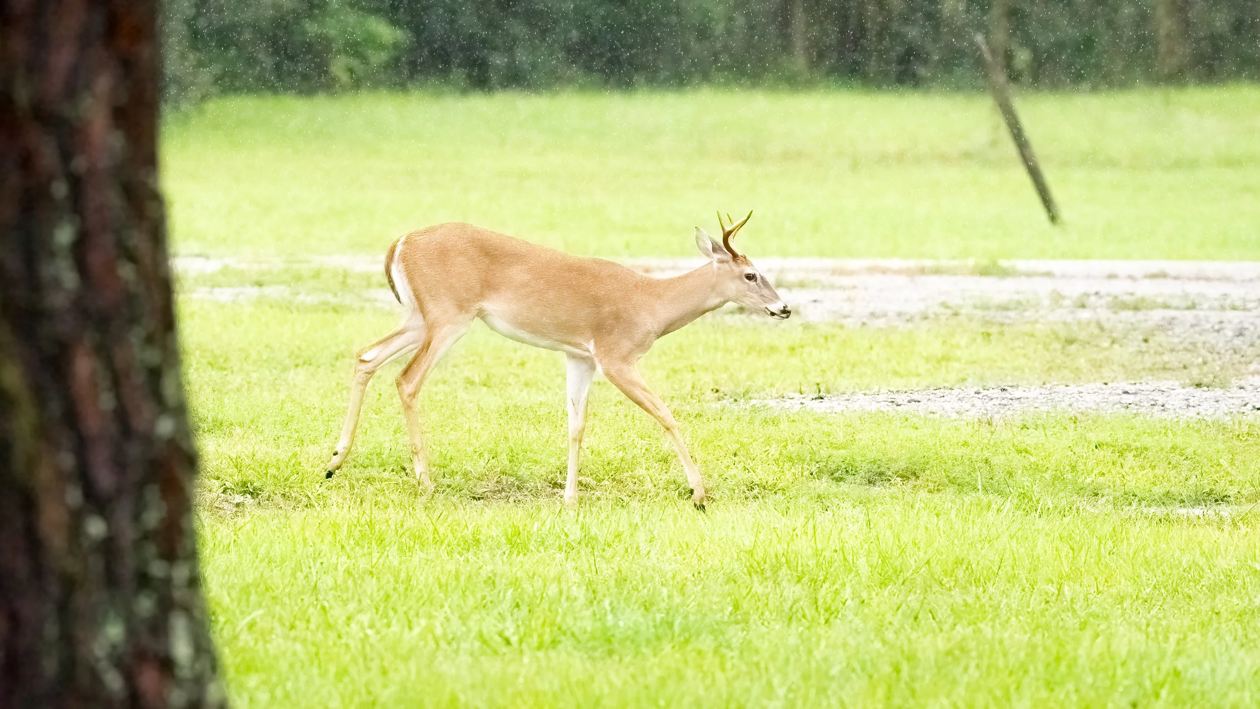 Dancing in the rain. - Acts 14:17