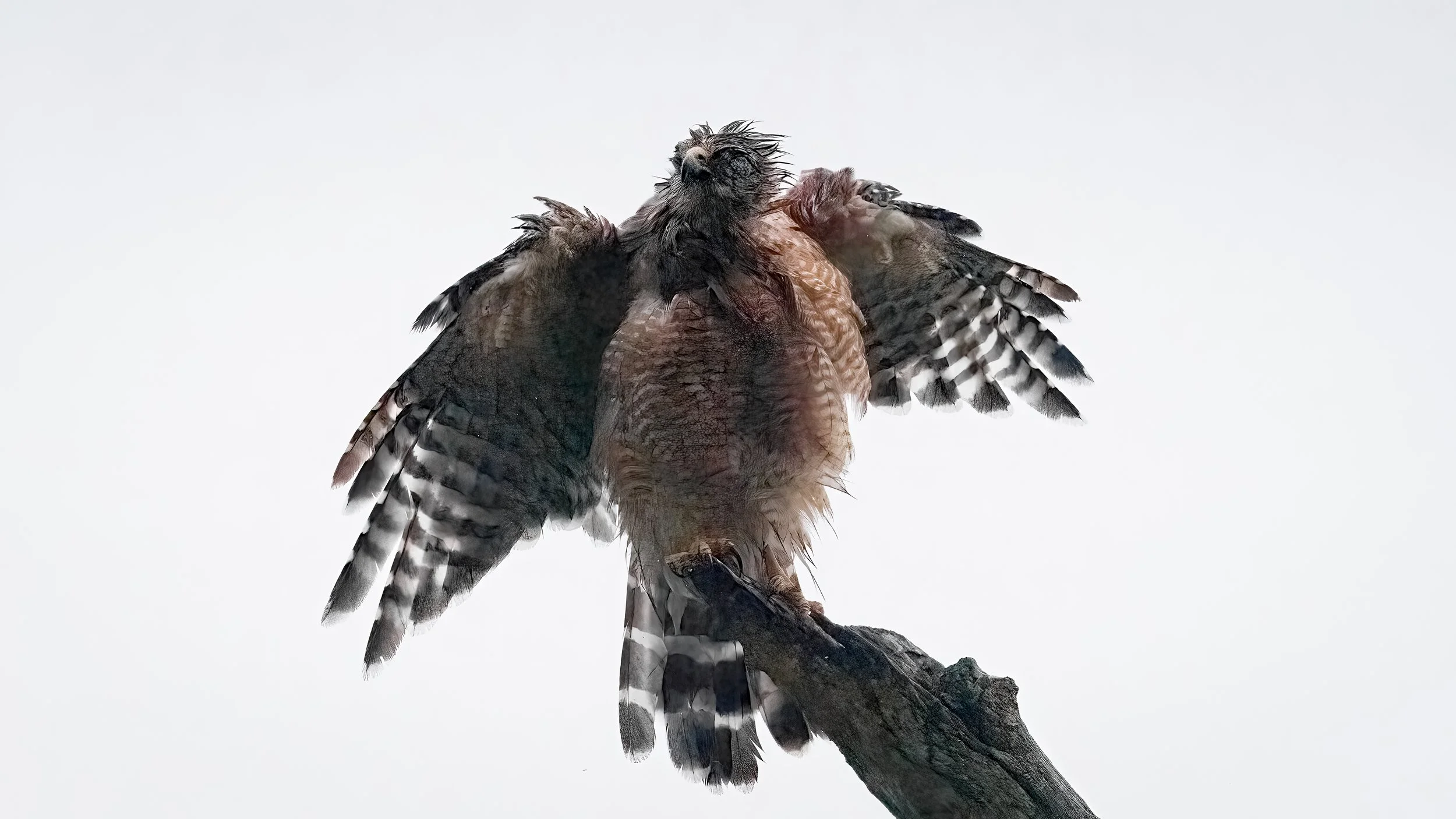 Faith in the storm - Psalm 91:1-4