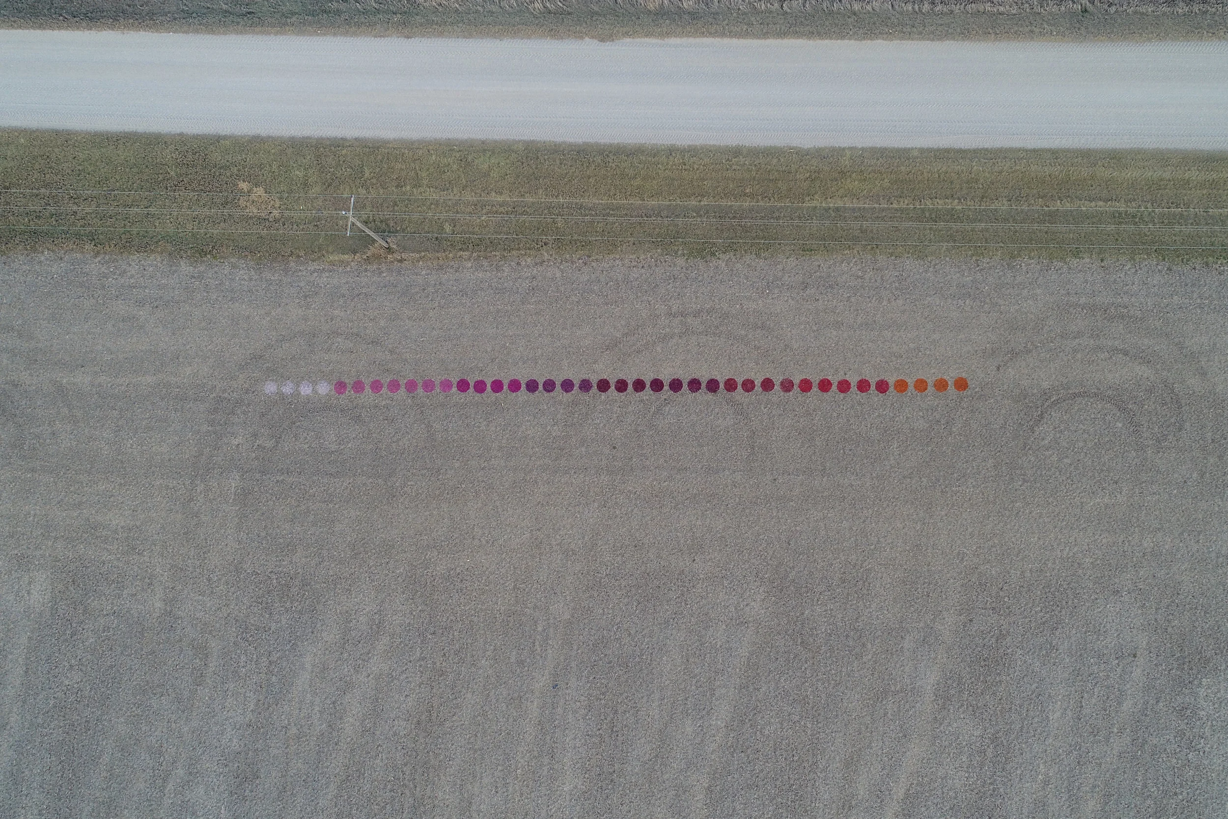 LEAVING MY MARK-SASHA BACKHAUS IMAGE 2 24X36.jpg