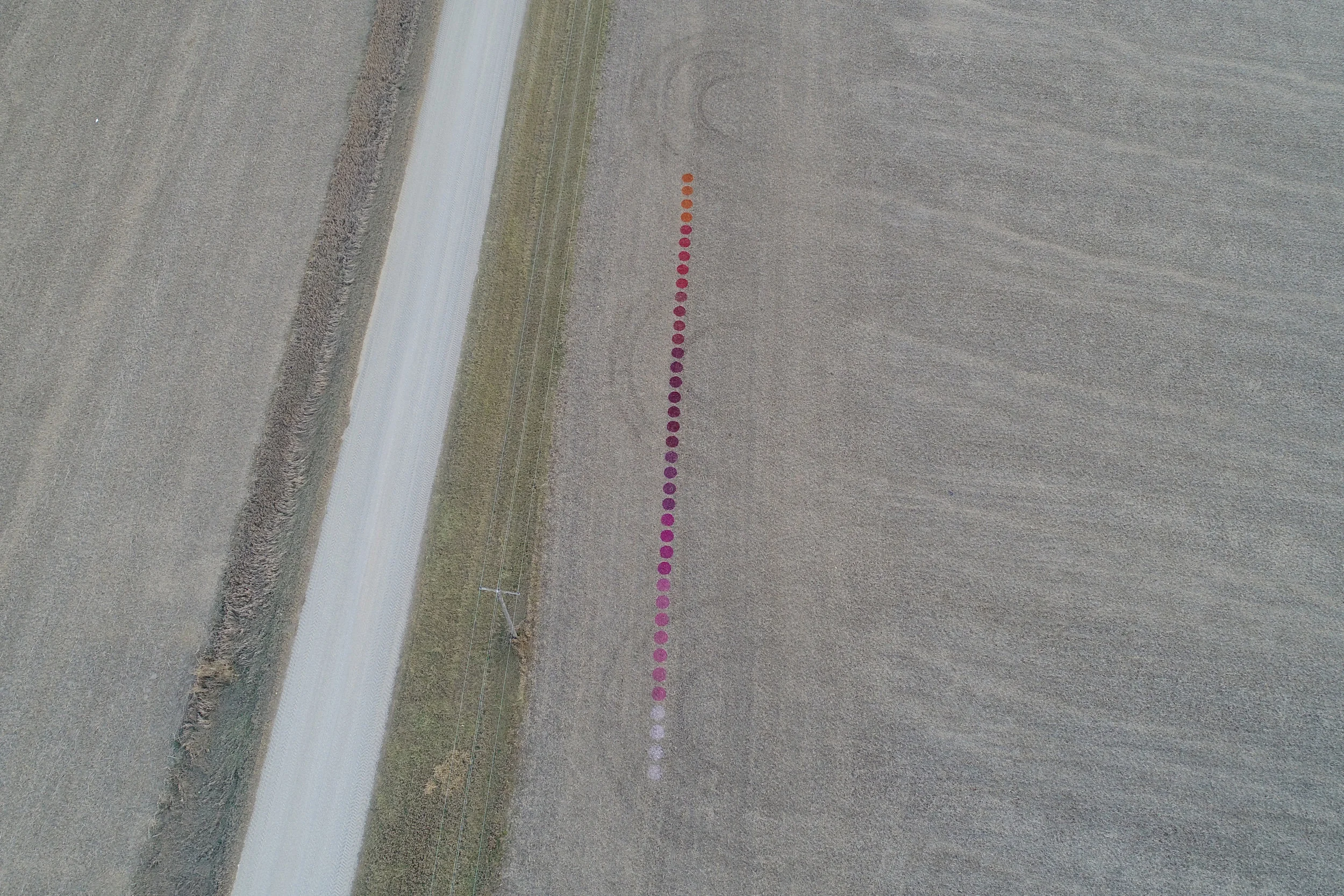 LEAVING MY MARK-SASHA BACKHAUS IMAGE 3 24X36.jpg