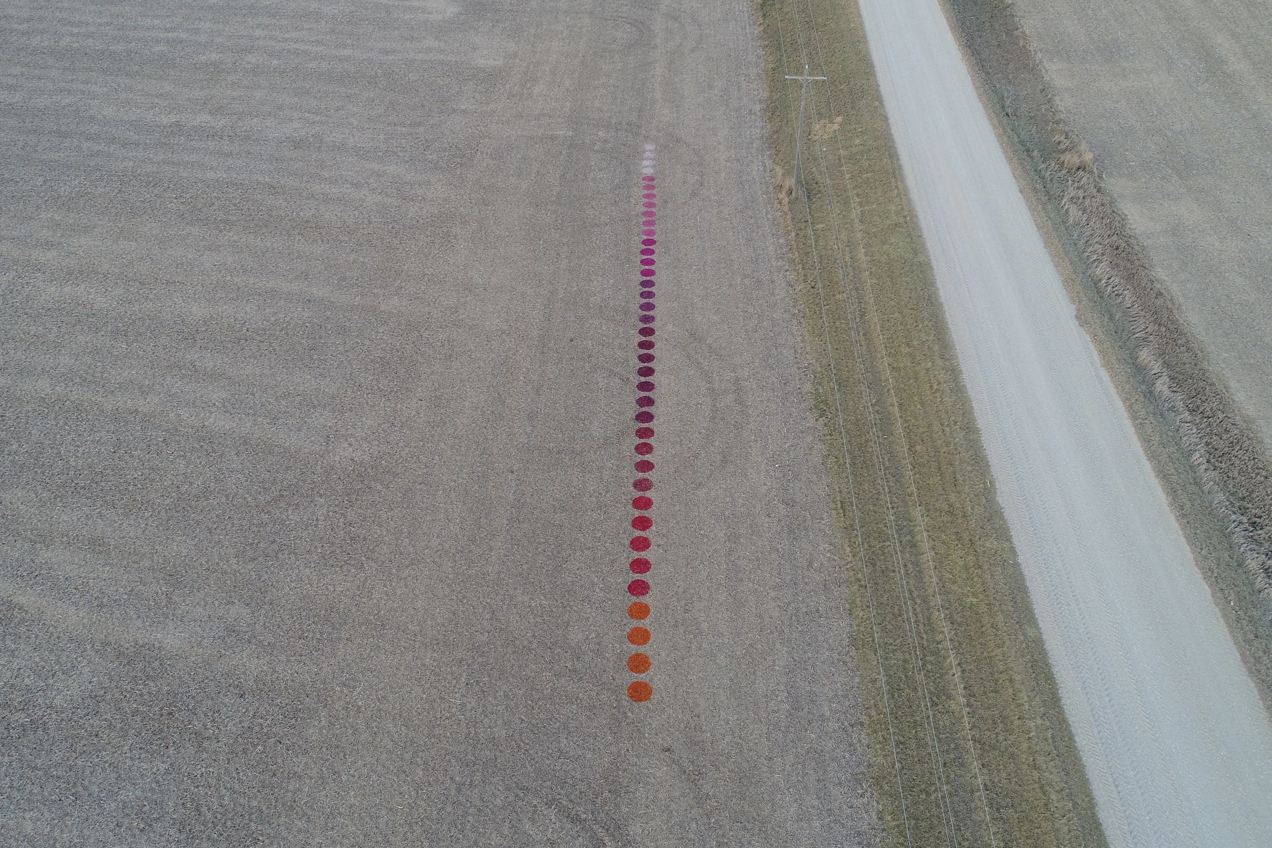 LEAVING MY MARK-SASHA BACKHAUS IMAGE 7 24X36.jpg