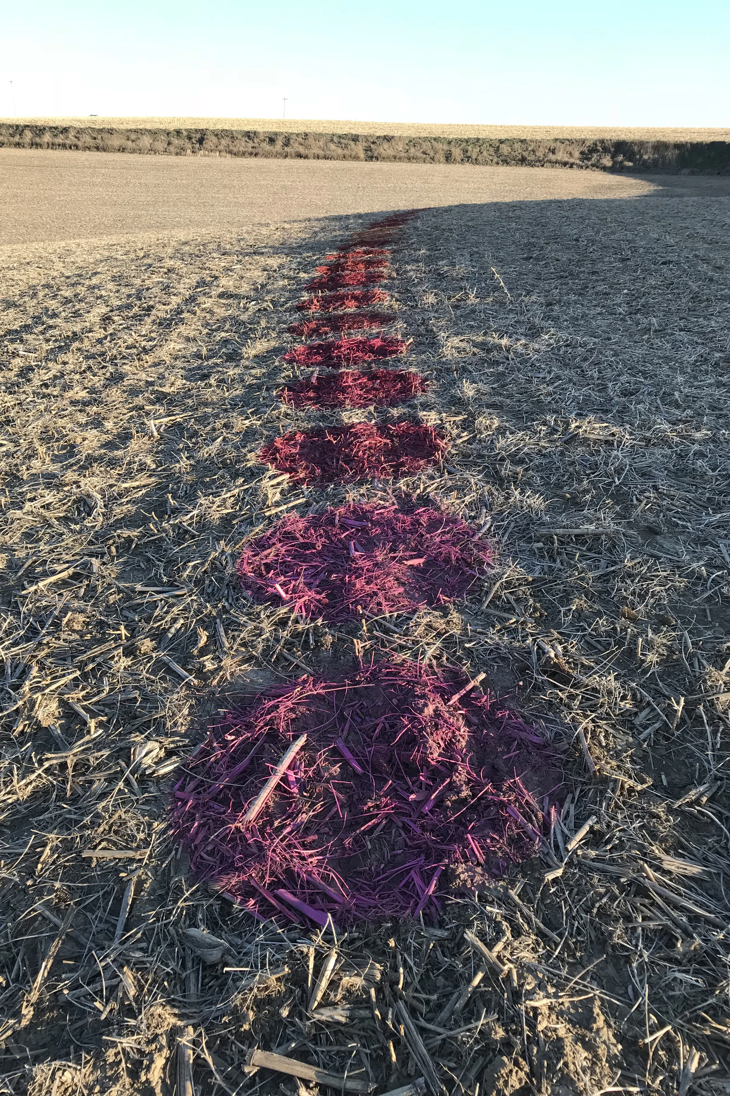 CURVE CIRCLES CLOSE UP-SASHA BACKHAUS IAMGE 1 24X36.jpg