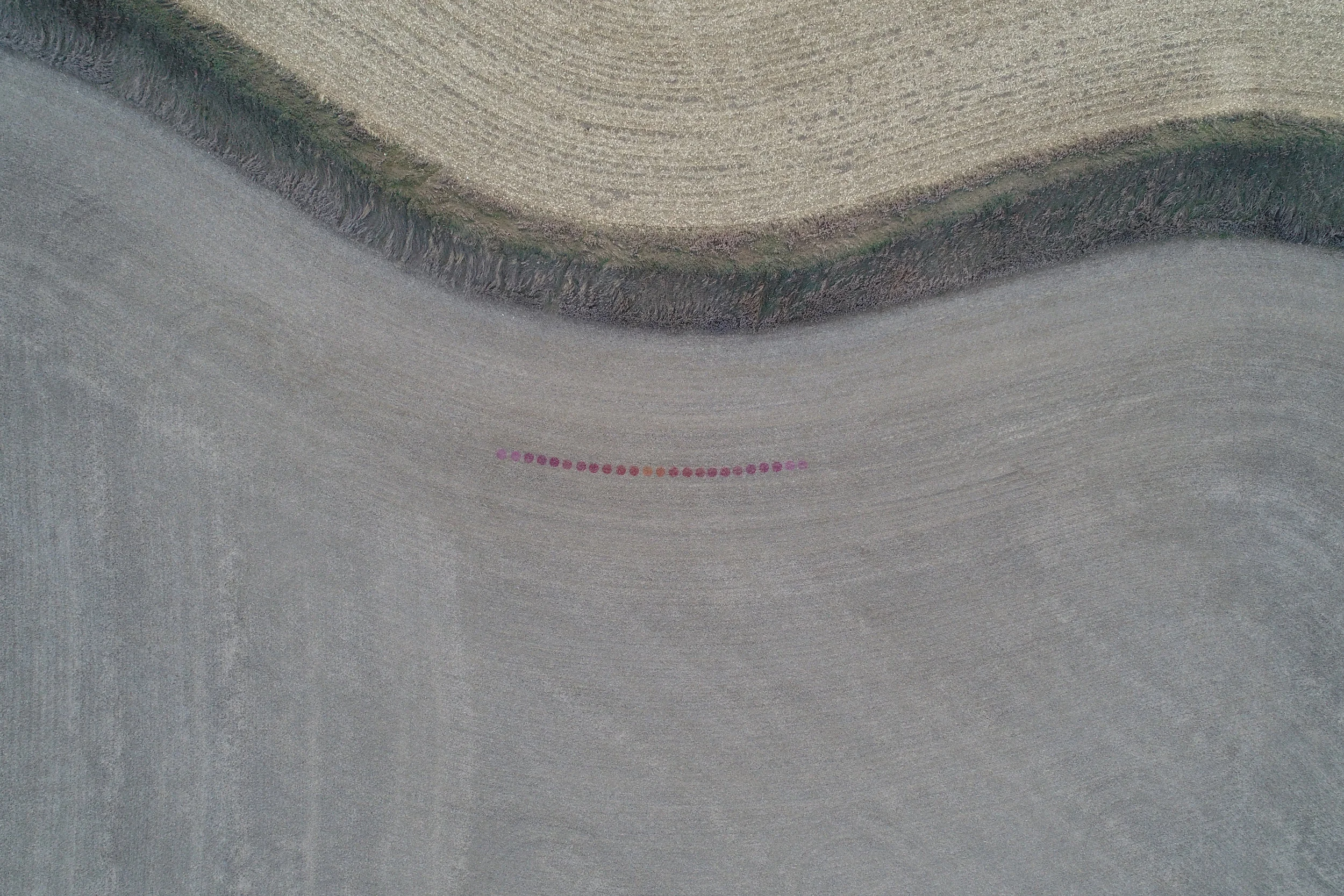 CURVE CIRCLES CLOSE UP-SASHA BACKHAUS IMAGE 3 24X36.jpg