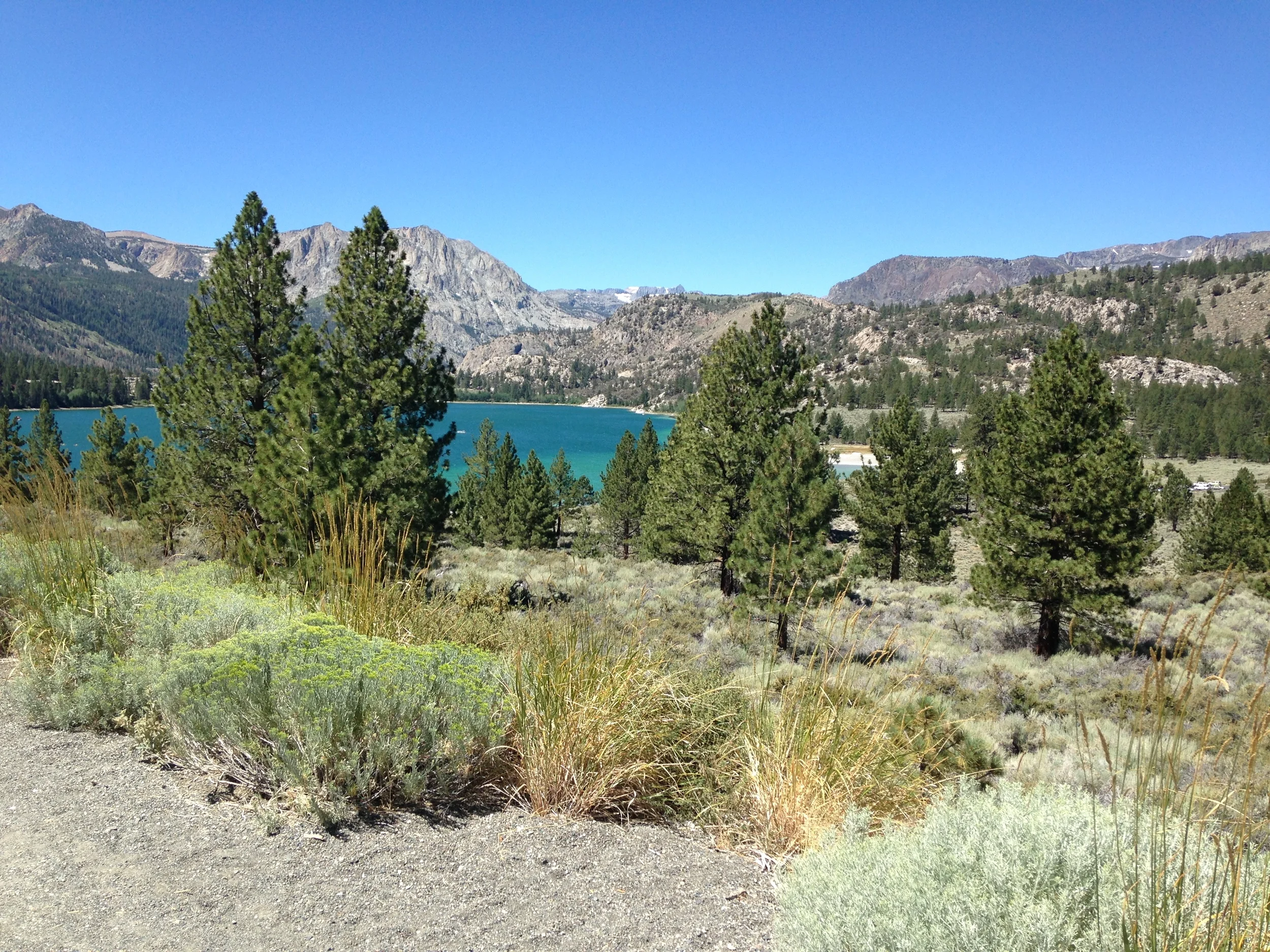 View of June Lake