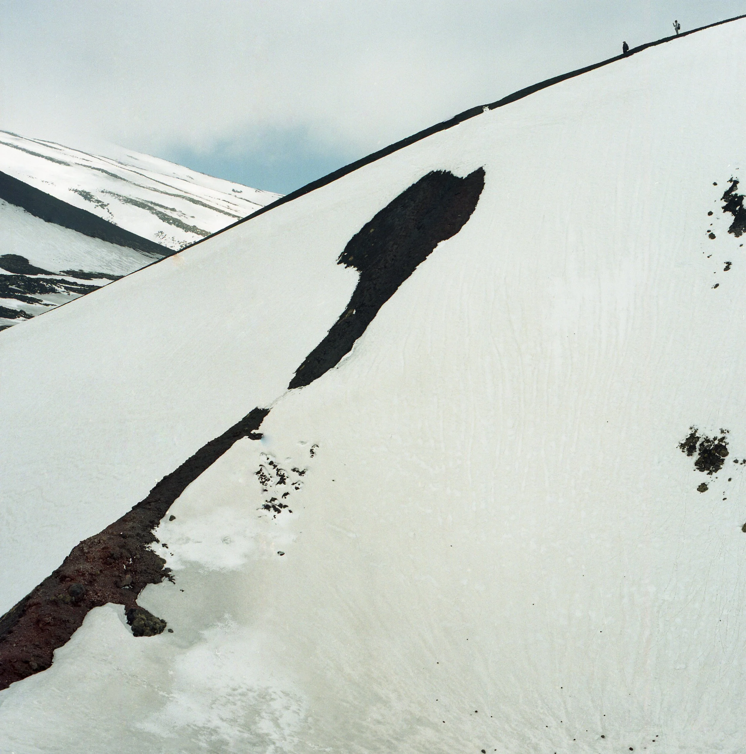 img319-2.jpg
