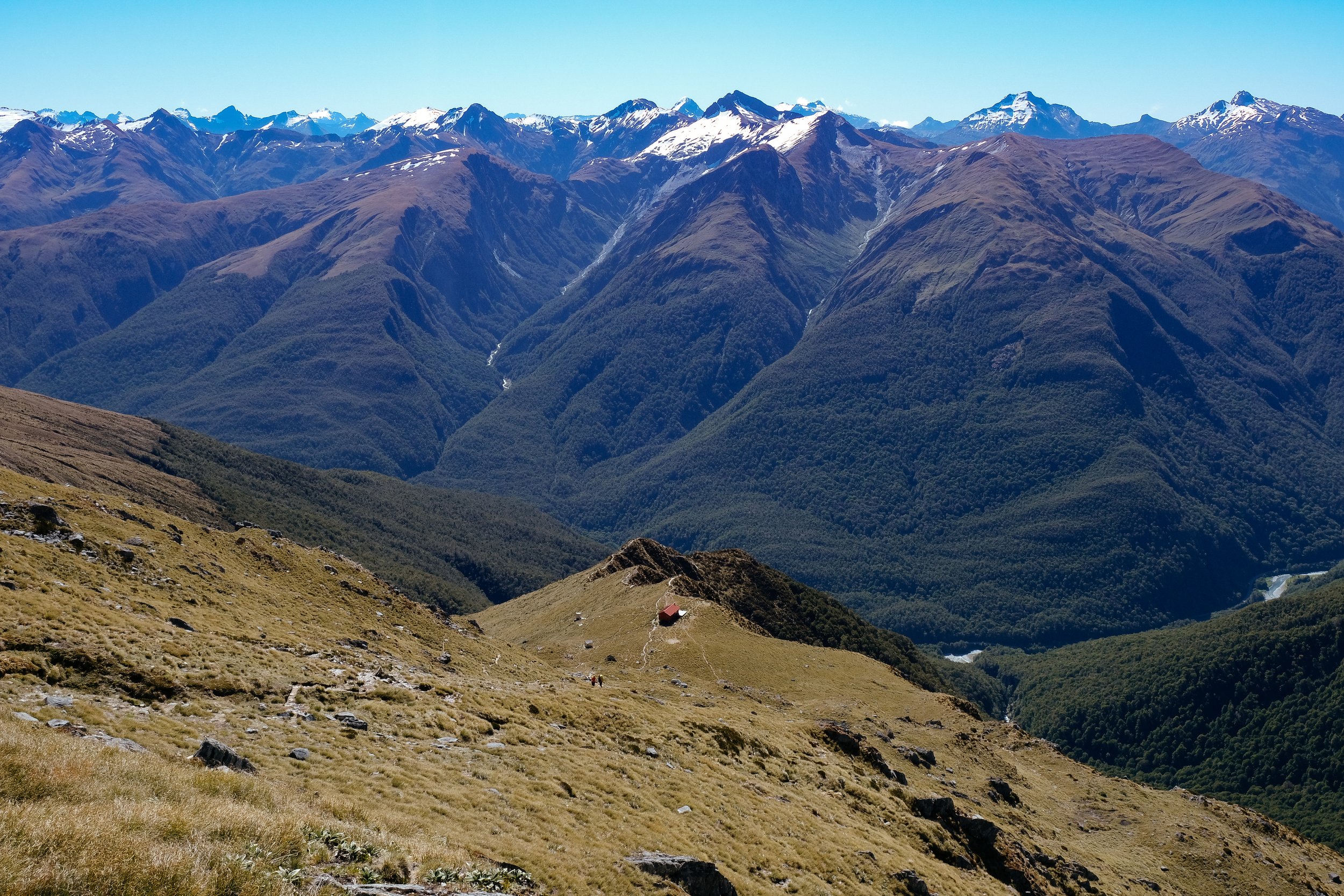 DSCF6530.jpg