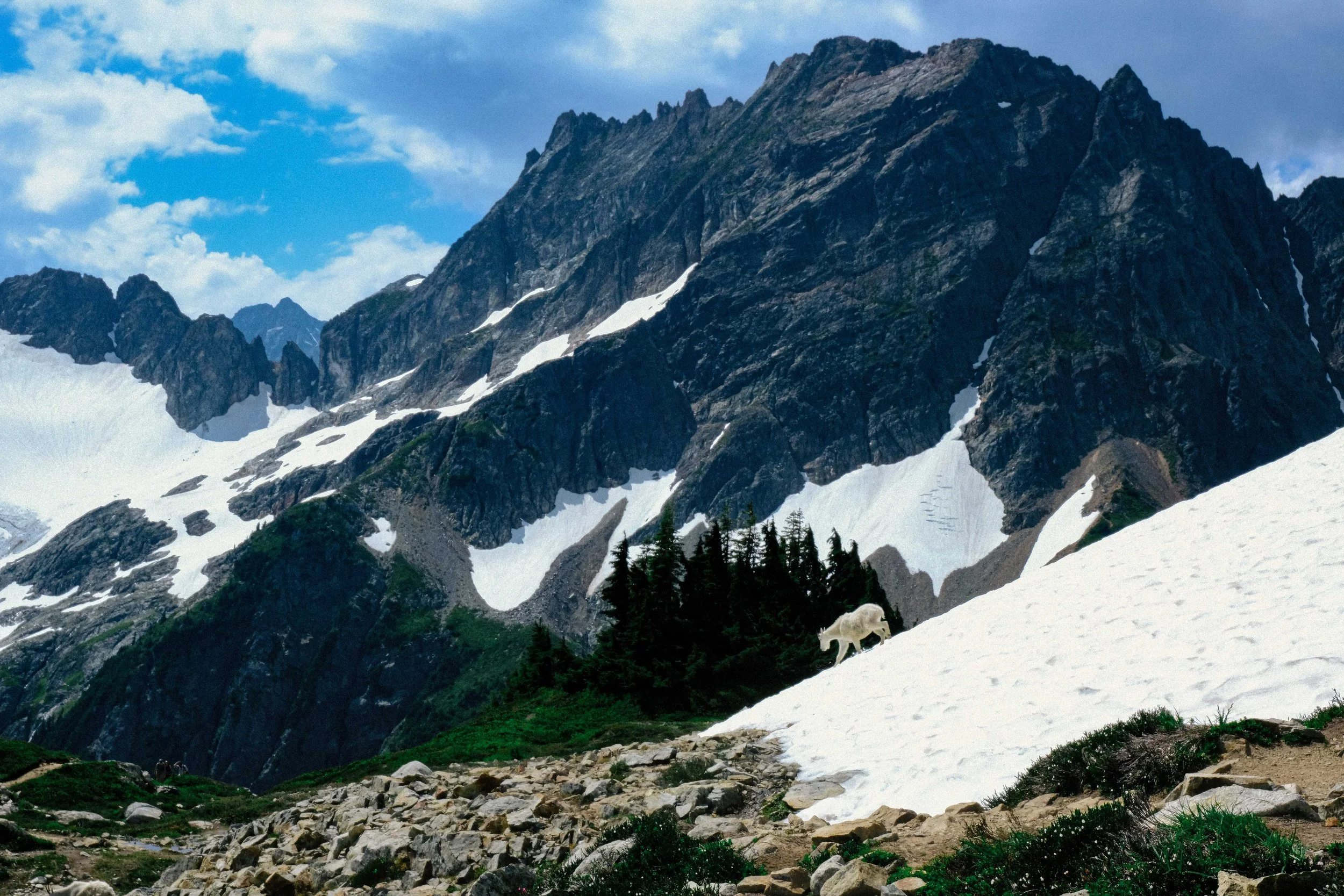 DSCF1841-3.jpg