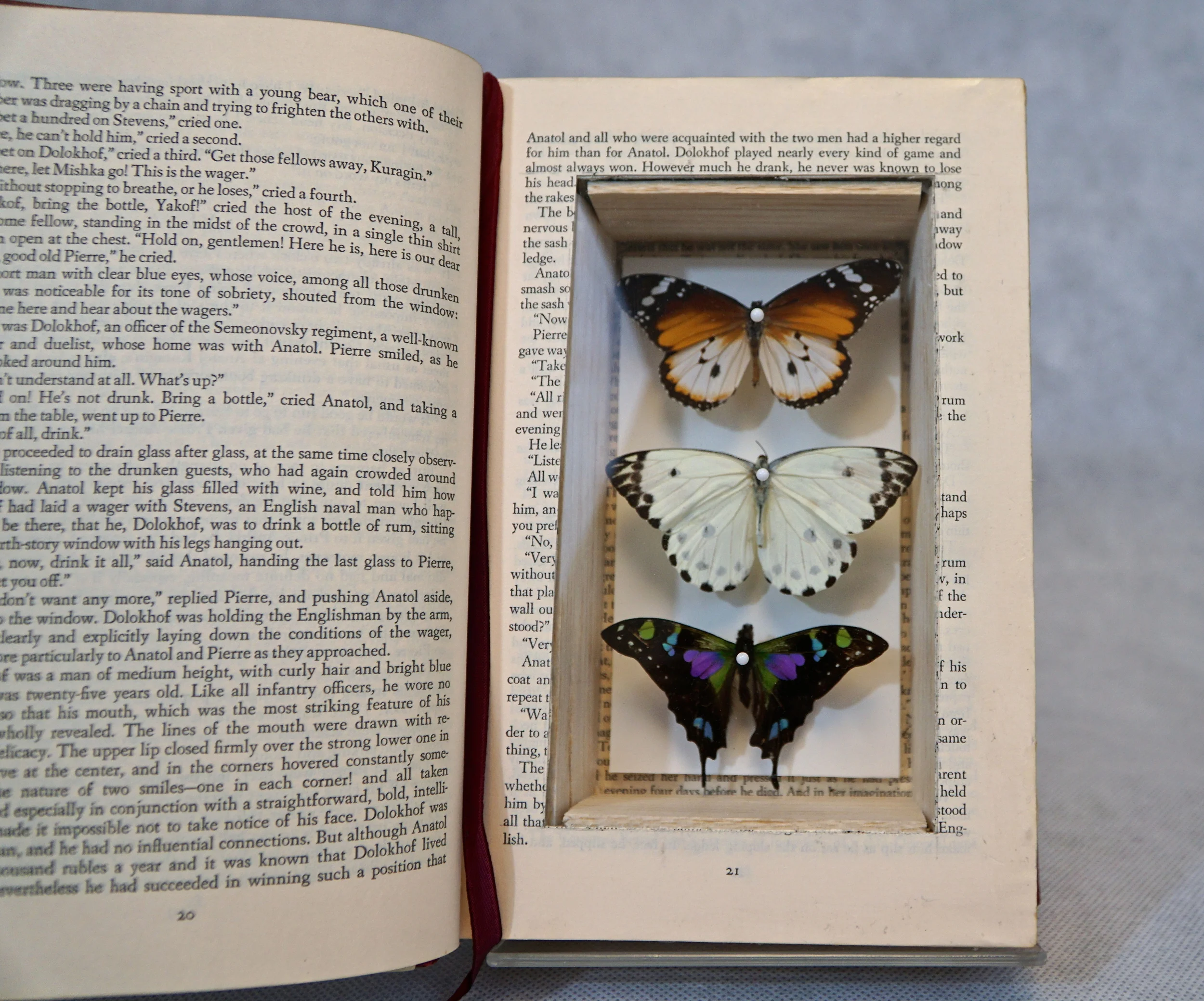 War and Peace (Butterfly Book)