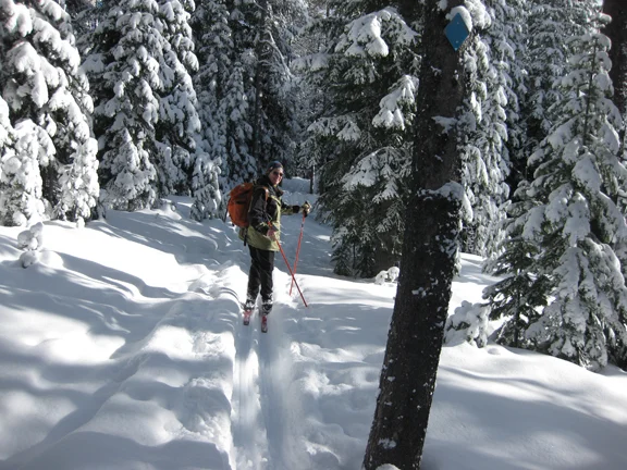 xc skiing_12_09