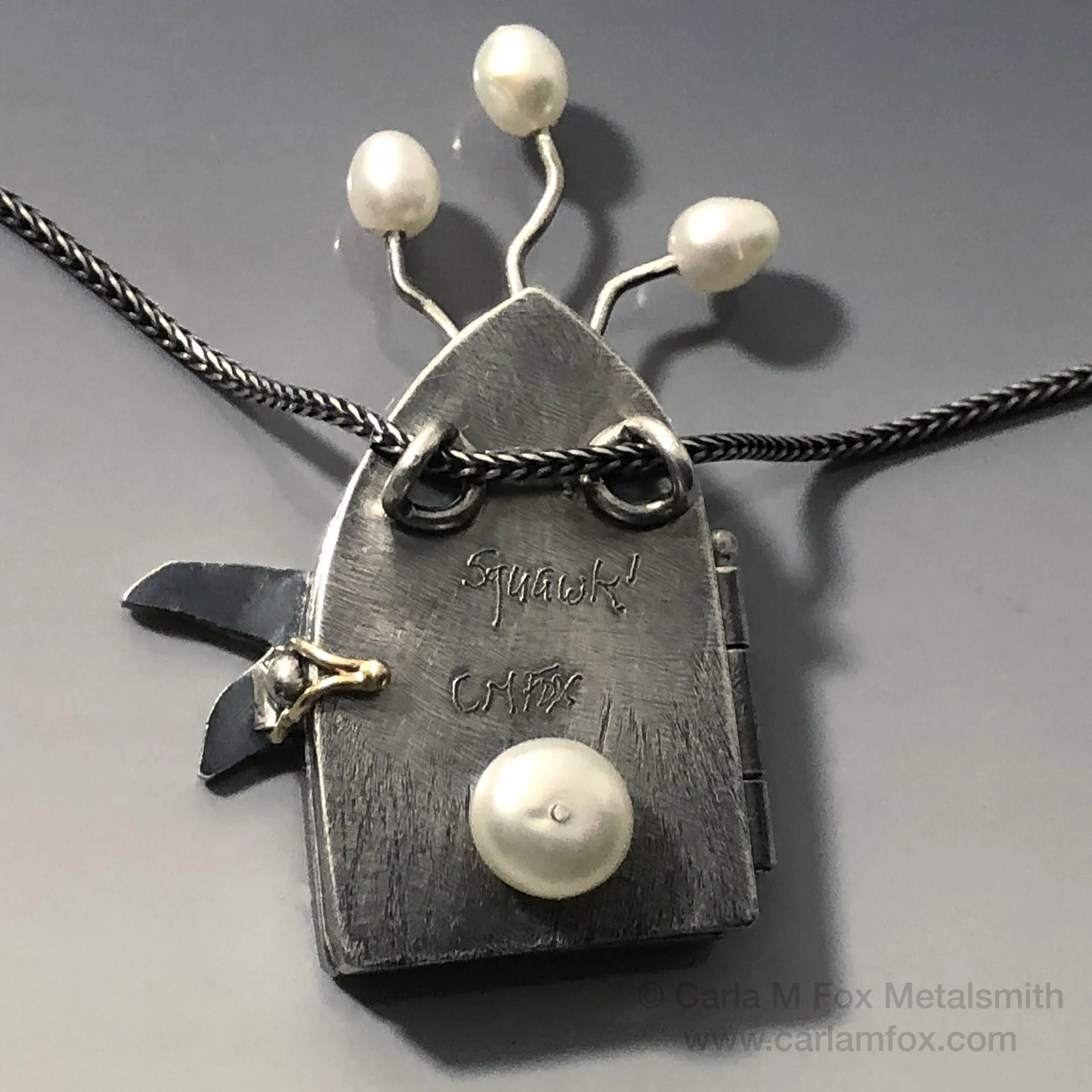 Squawk back sf-cpy.jpg