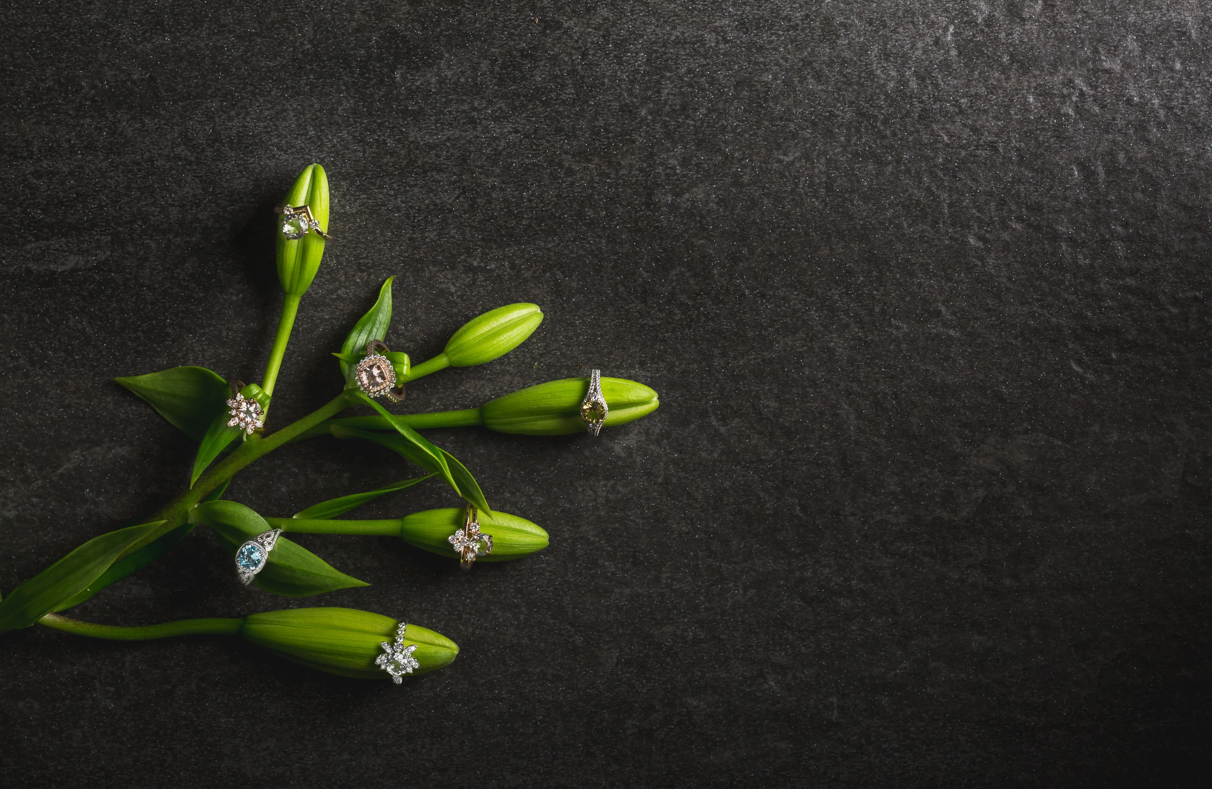 Brands & Collections