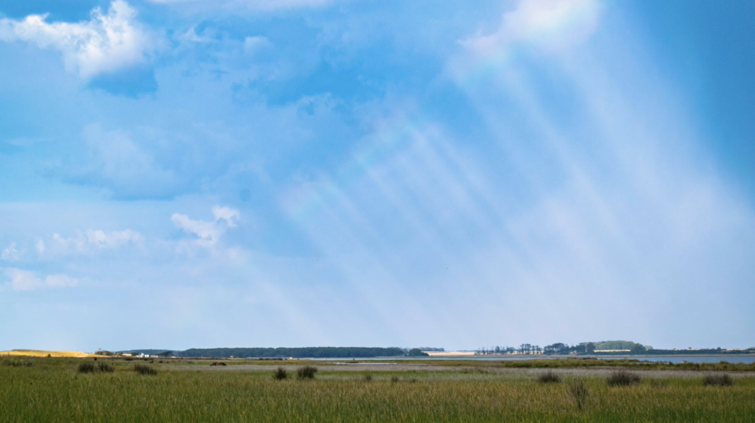 Screen Shot 2021-07-09 at 12.48.19 AM.png