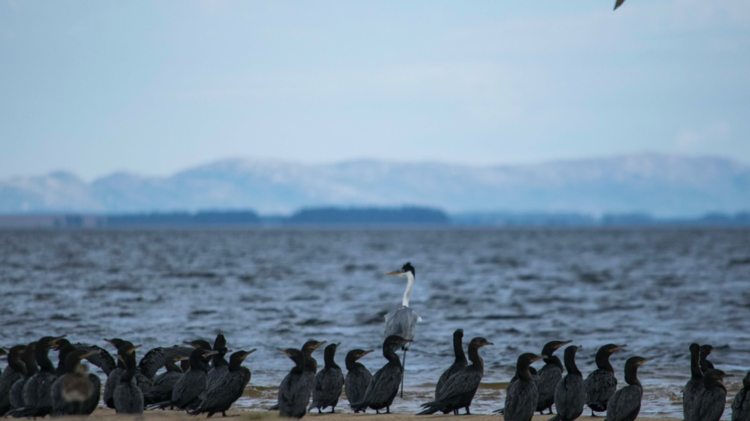 Screen Shot 2021-07-09 at 12.49.35 AM.png