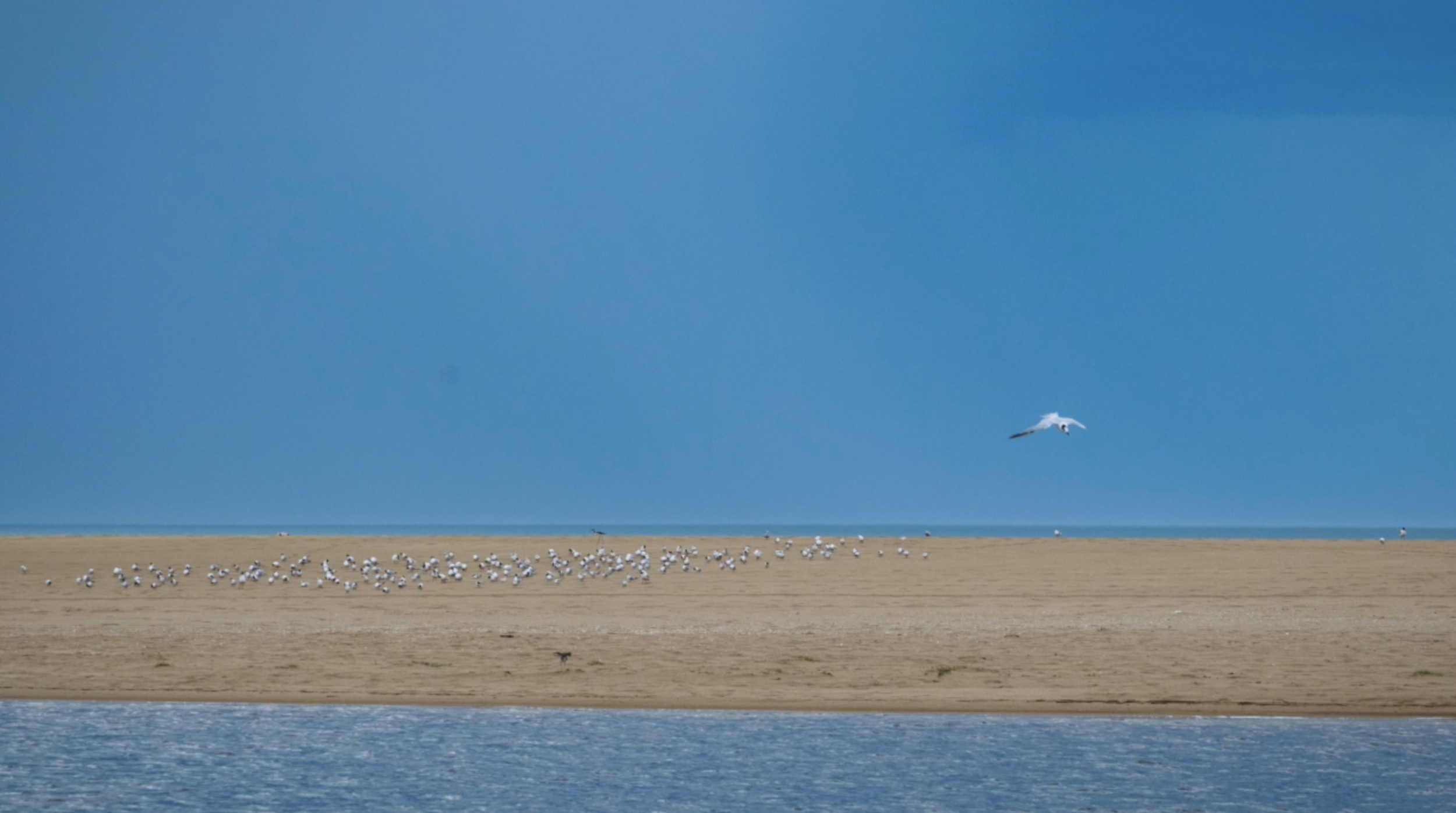 Screen Shot 2021-07-09 at 12.49.06 AM.png