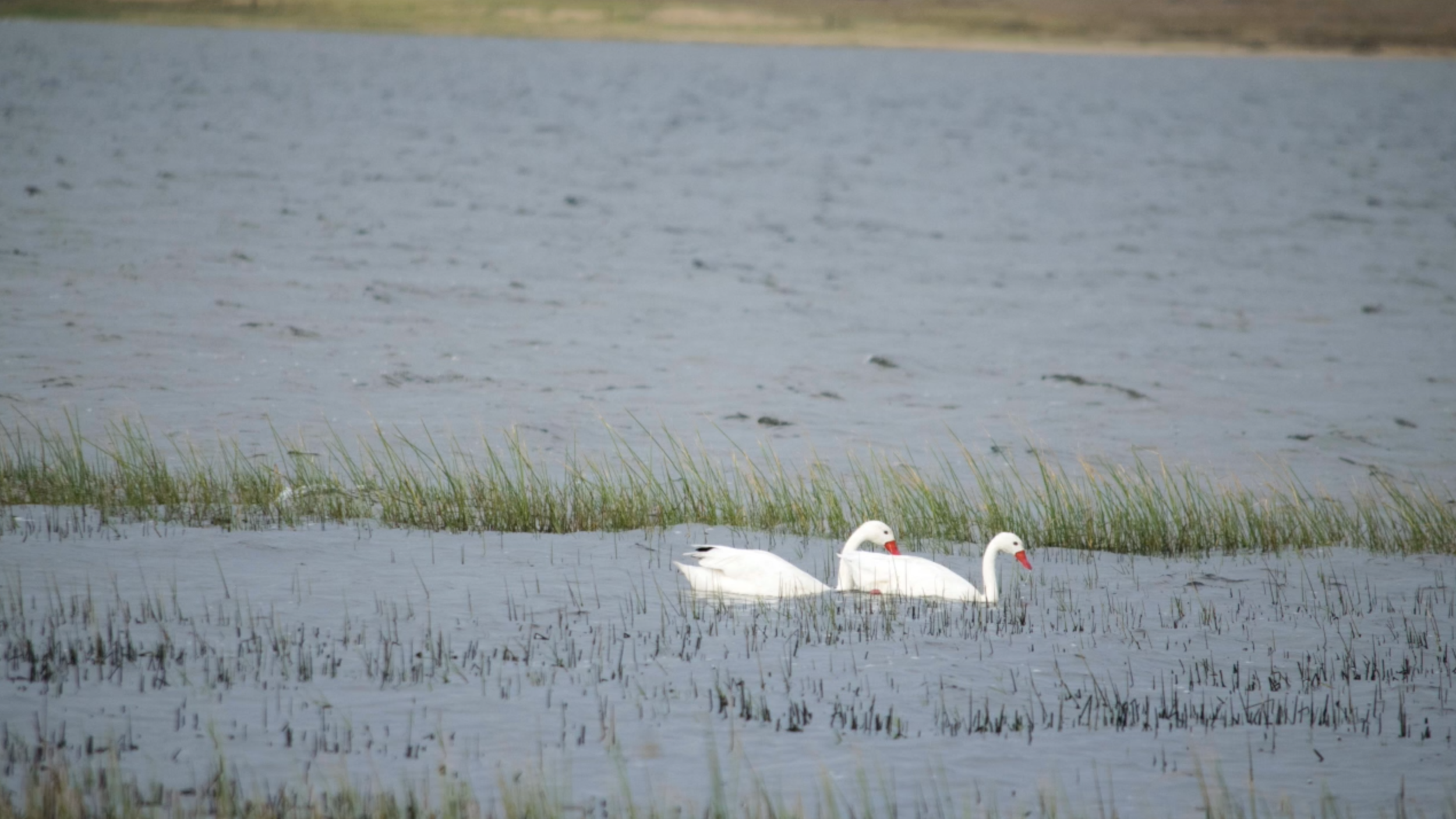 Screen Shot 2021-07-09 at 12.47.12 AM.png