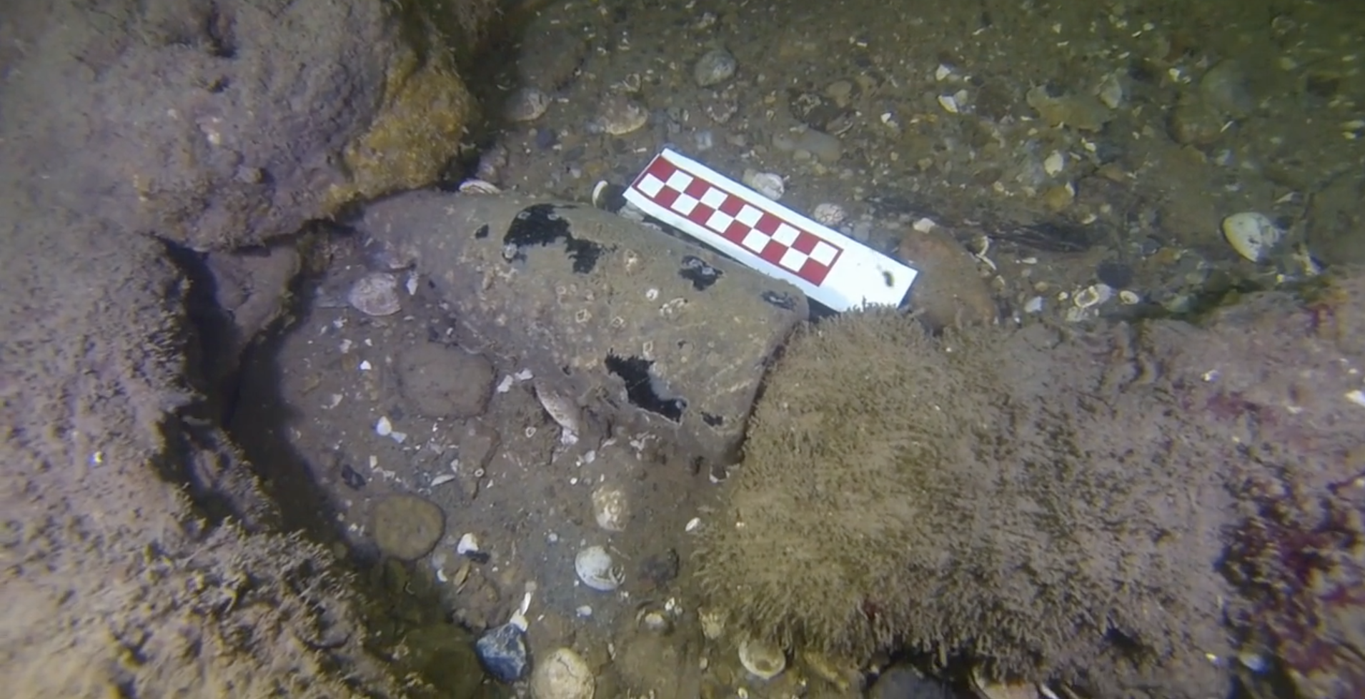 Screen Shot 2021-07-09 at 3.15.32 AM.png