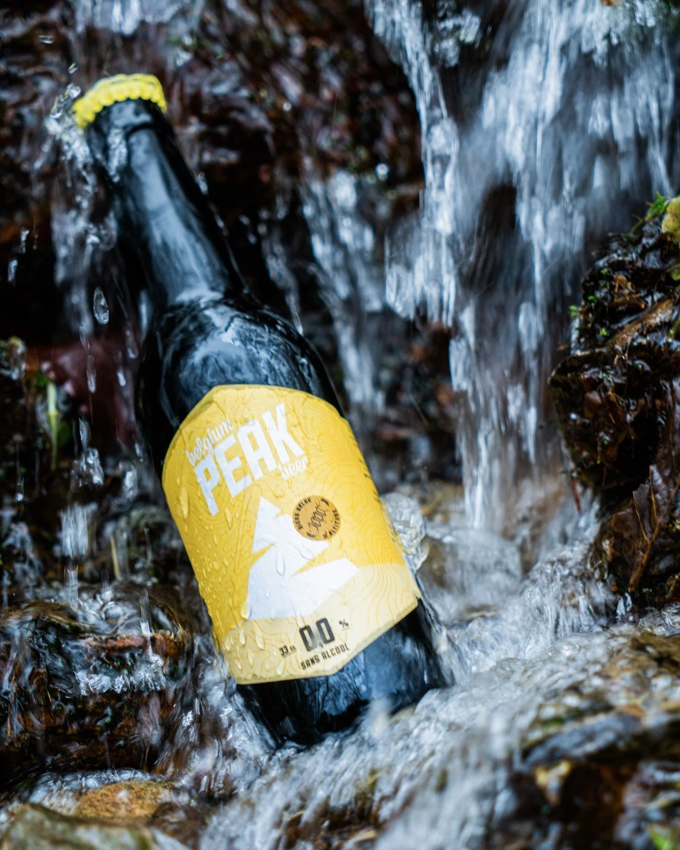 DRY JANUARY : Faites une pause sur l'alcool, pas sur le go&ucirc;t ! 😋🍻

Apr&egrave;s les f&ecirc;tes, place &agrave; la d&eacute;tox et au DRY JANUARY...
Profitez-en pour go&ucirc;ter notre Peak 0.0 💛