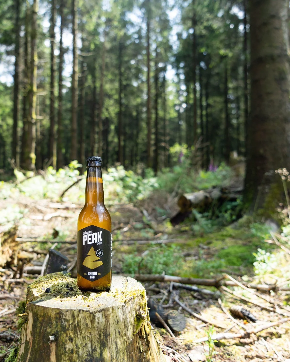 Une balade dans les Fagnes, en bonne compagnie 🍃🍺